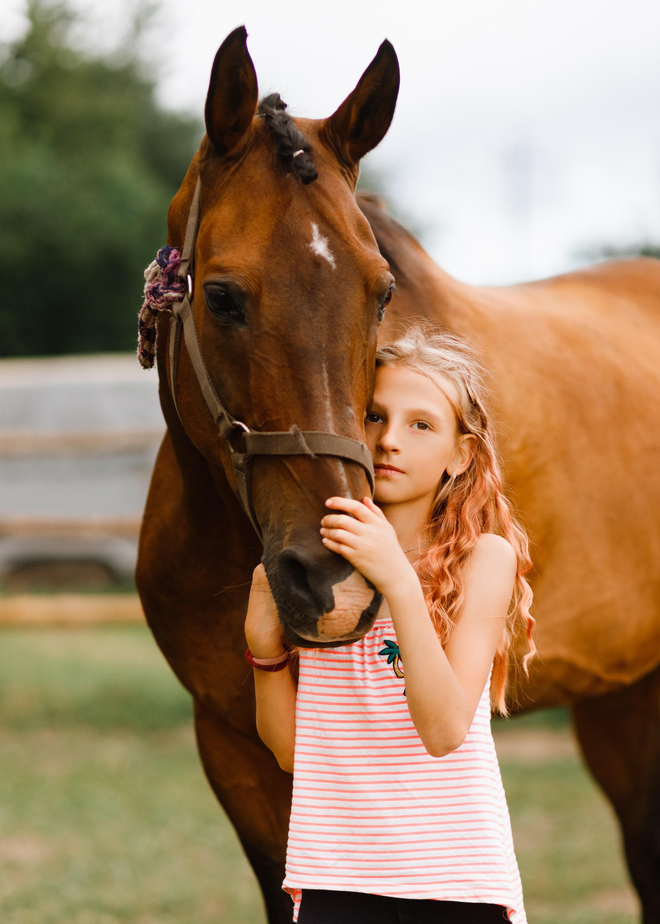 Girls & horses, summer. Kaja | fotograf psów we Wrocławiu