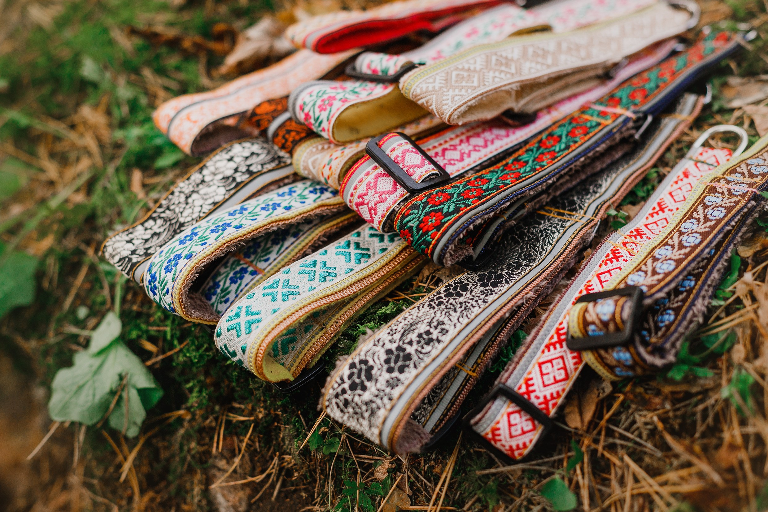 «Kasmach» dogs ammunition. Kaja | fotograf we Wrocławiu | ludzie i psy