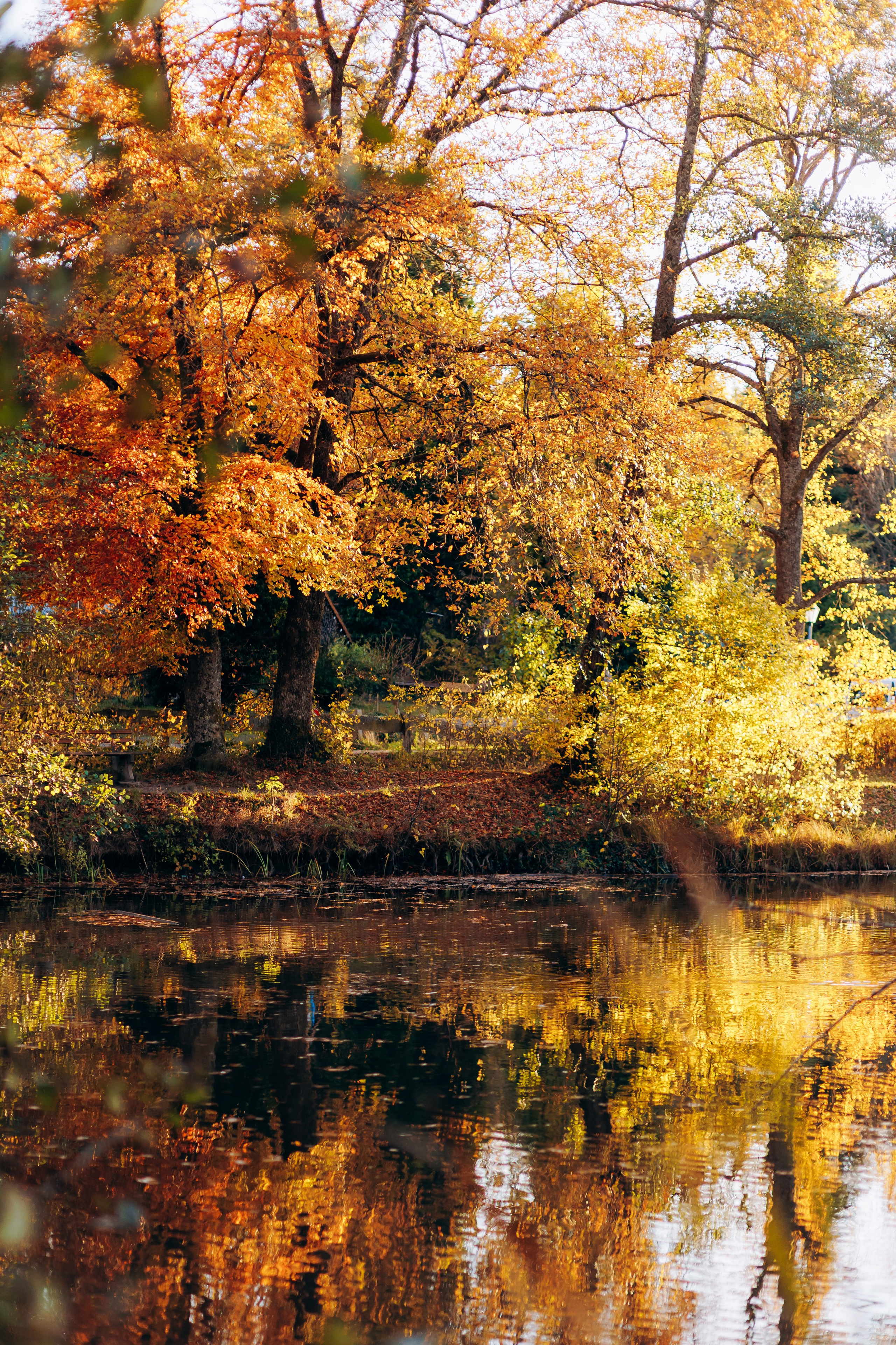 Famiele Wiegert. Wedding and Family Photograph