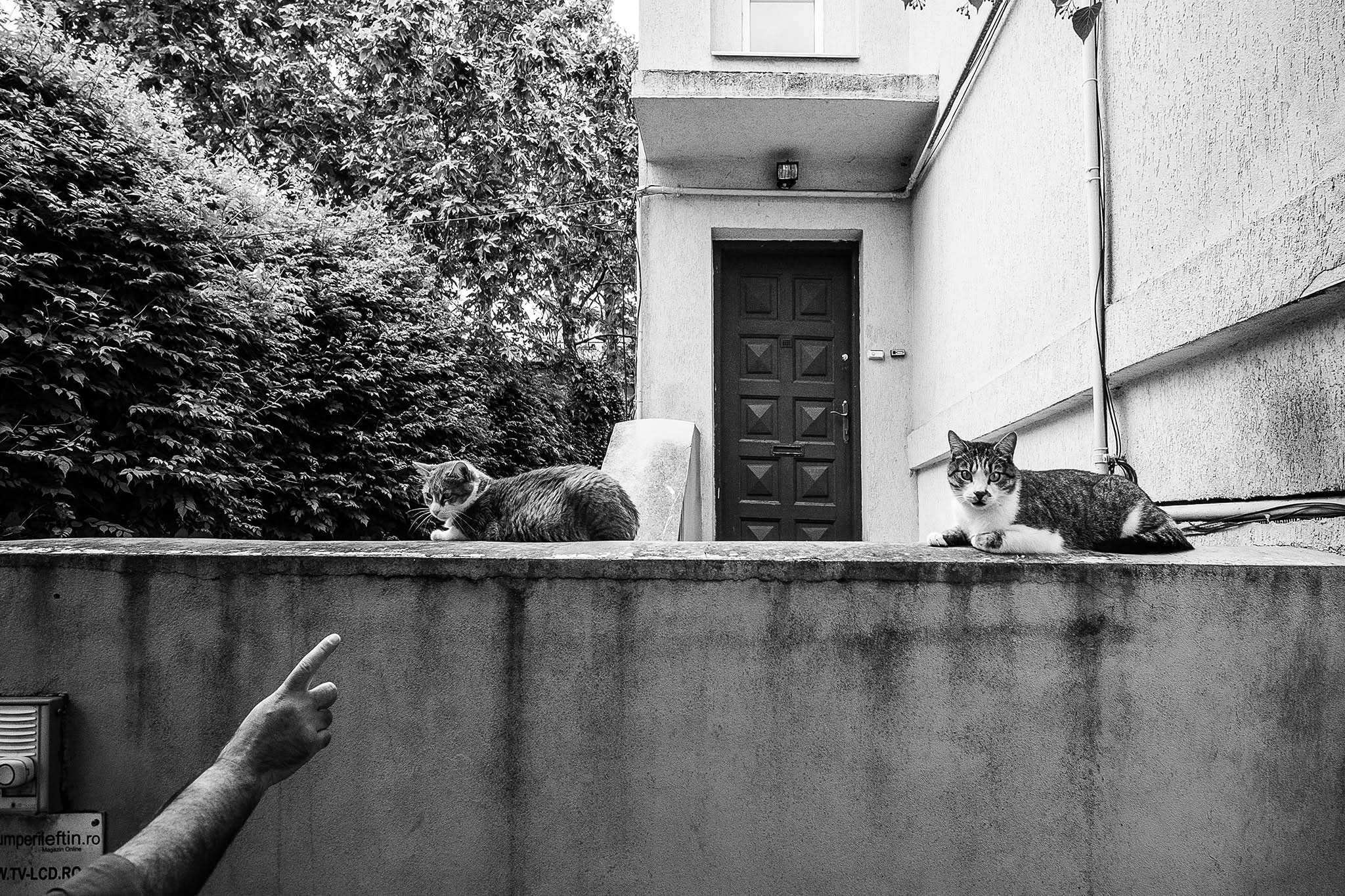 Street Photography. Graphic designer Andreea Maieru