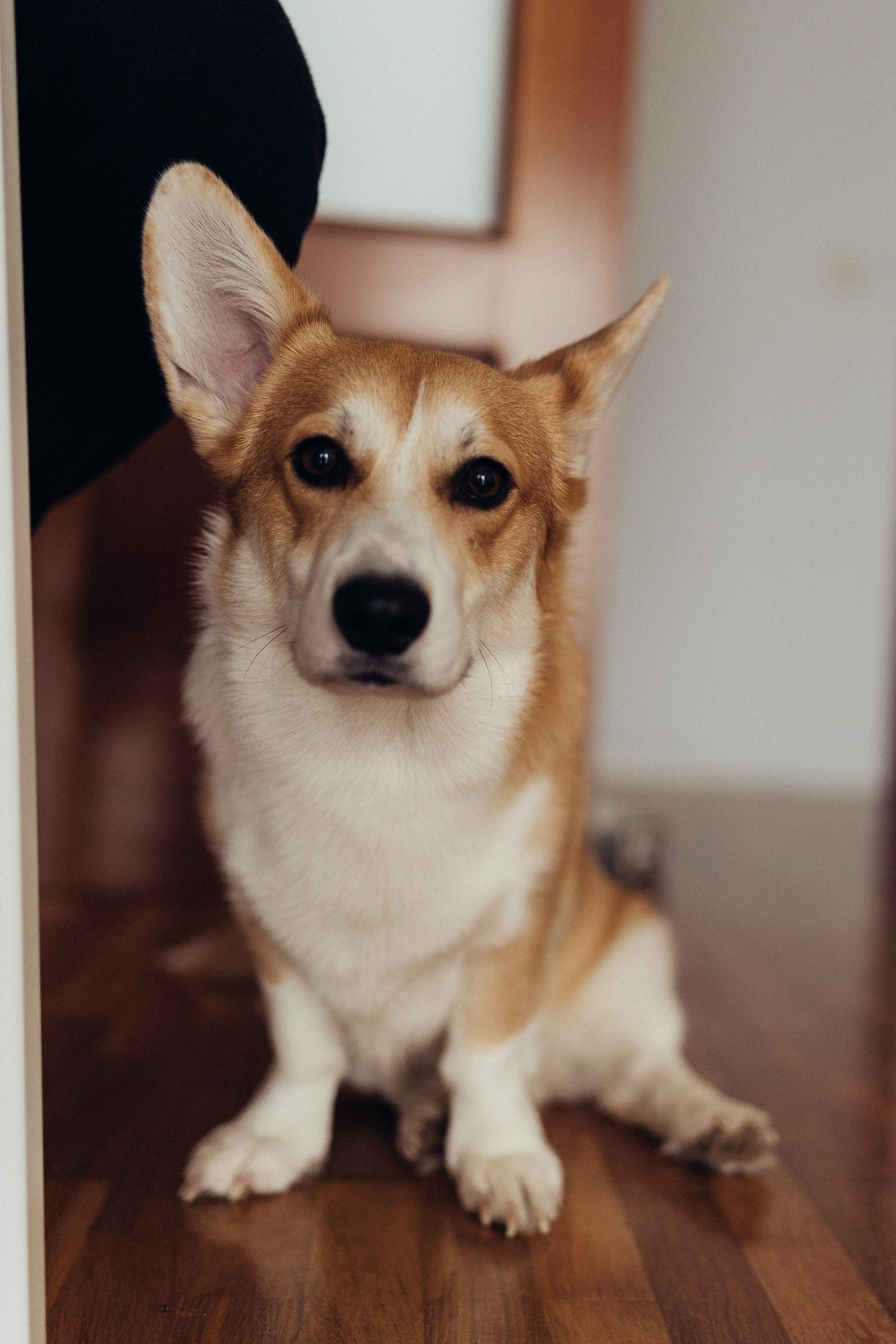 Настя, Богдан, Лео. Family photographer in Oviedo — Yana Razina