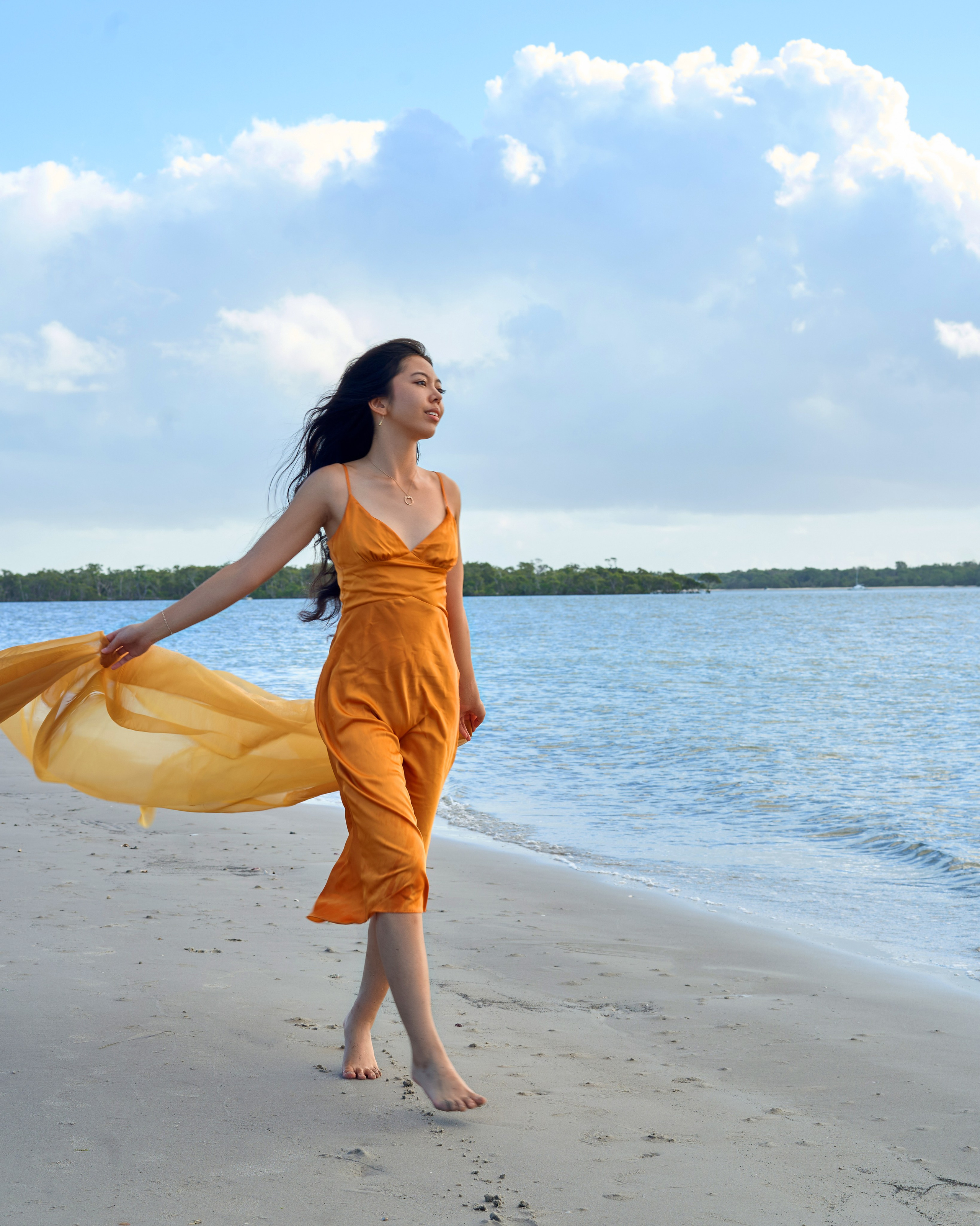 Sofia Valdez. Welcome!