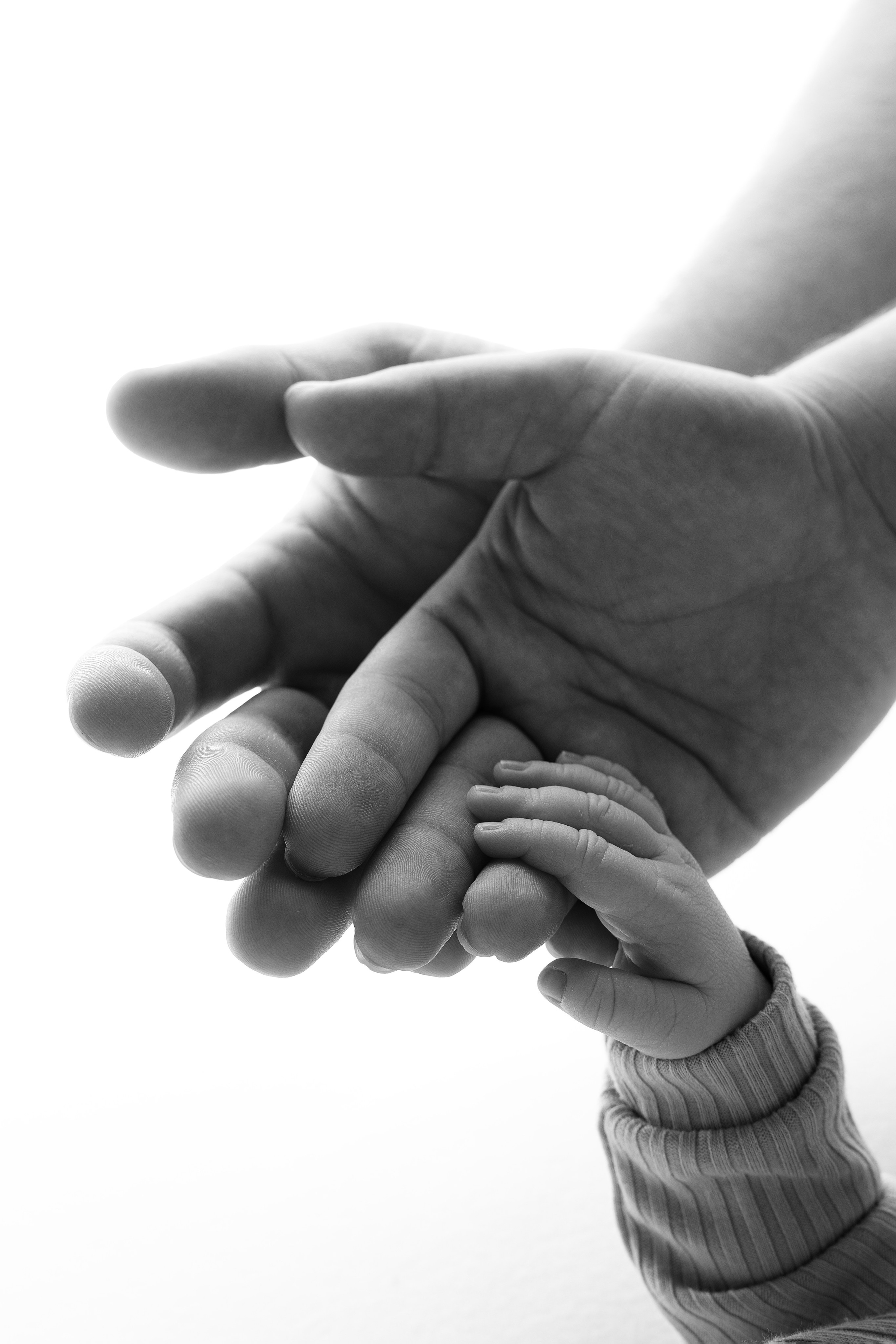 Newborn. Maria Langlitz Photography