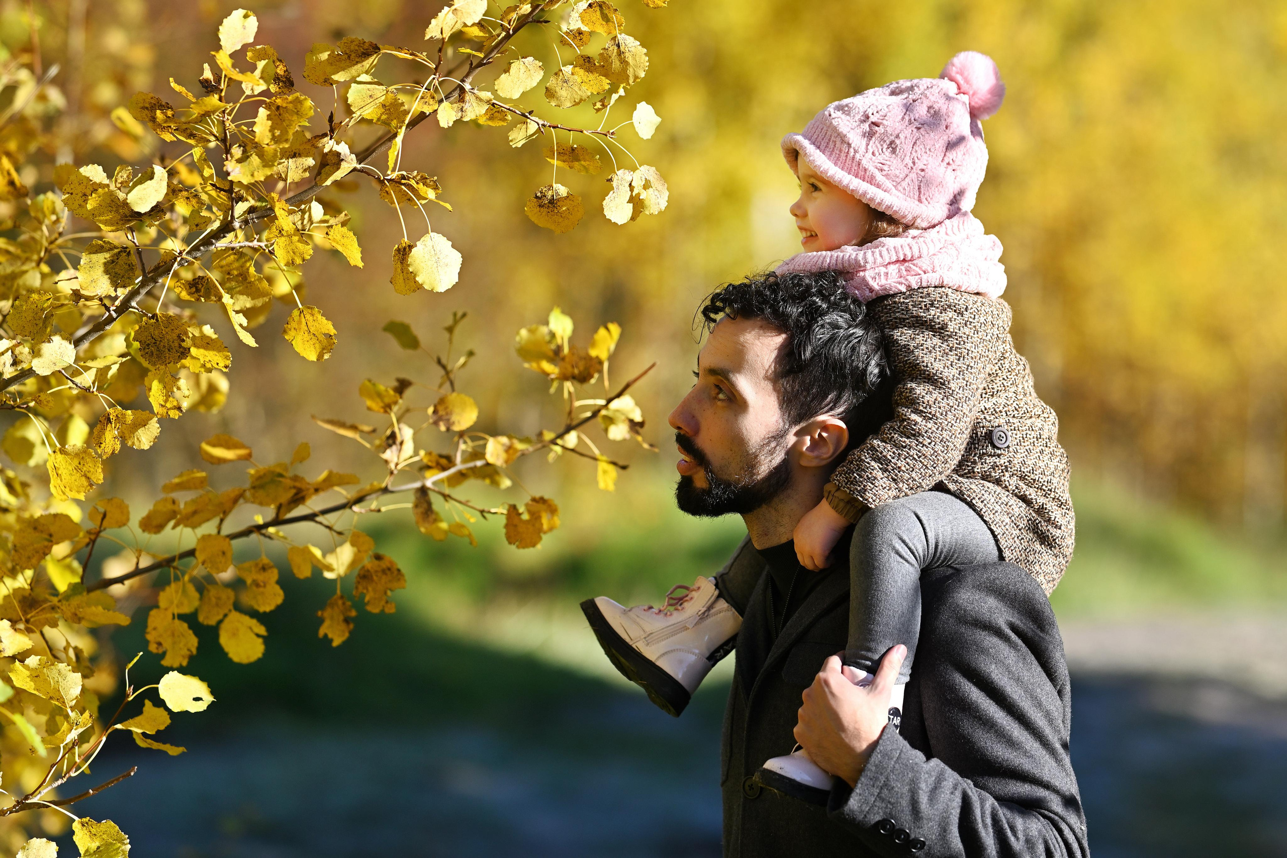Family. Family and wedding photographer in Tallinn — Aleksei Volkov