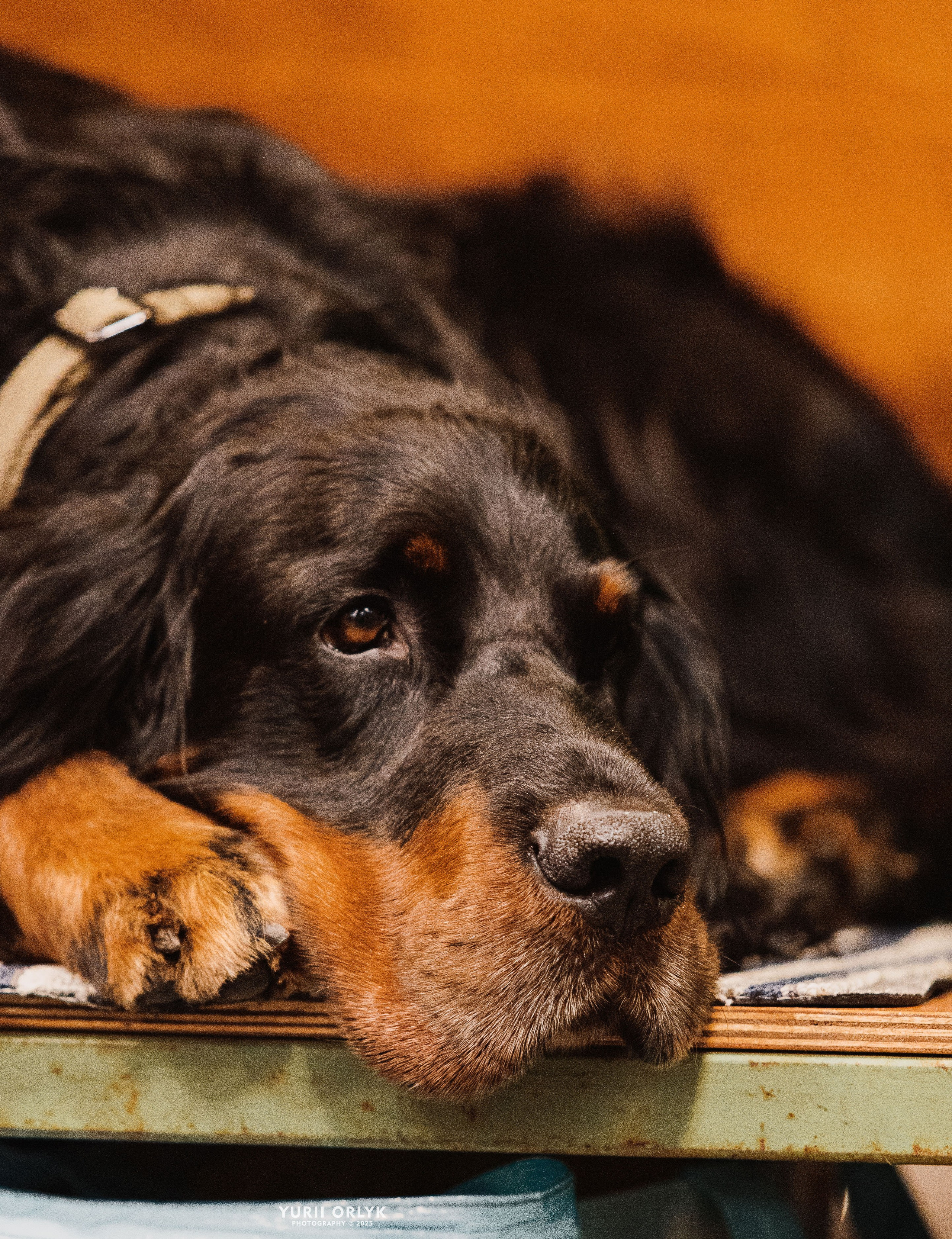 Yurii Orlyk Photography