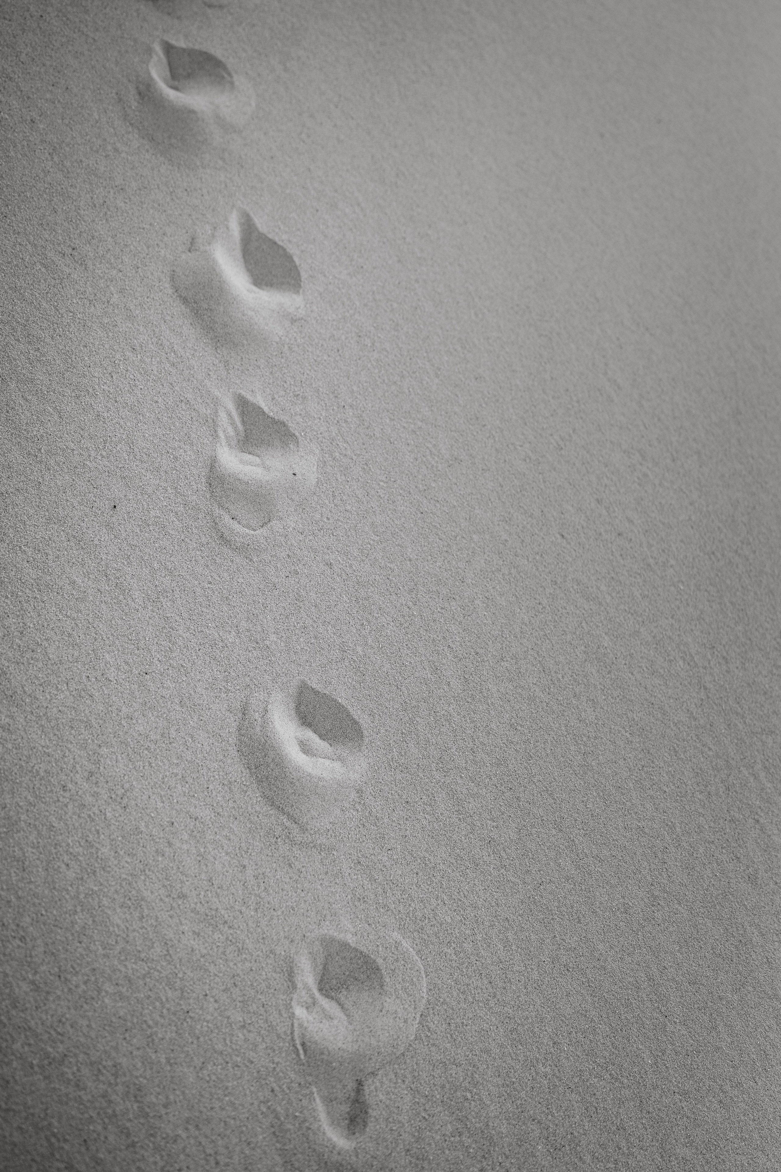 Beach Toddler Photography – Playful & Candid Memories. Alisa Tant — Family and newborn photographer Bucks County, Montgomery county, Philadelphia, NJ