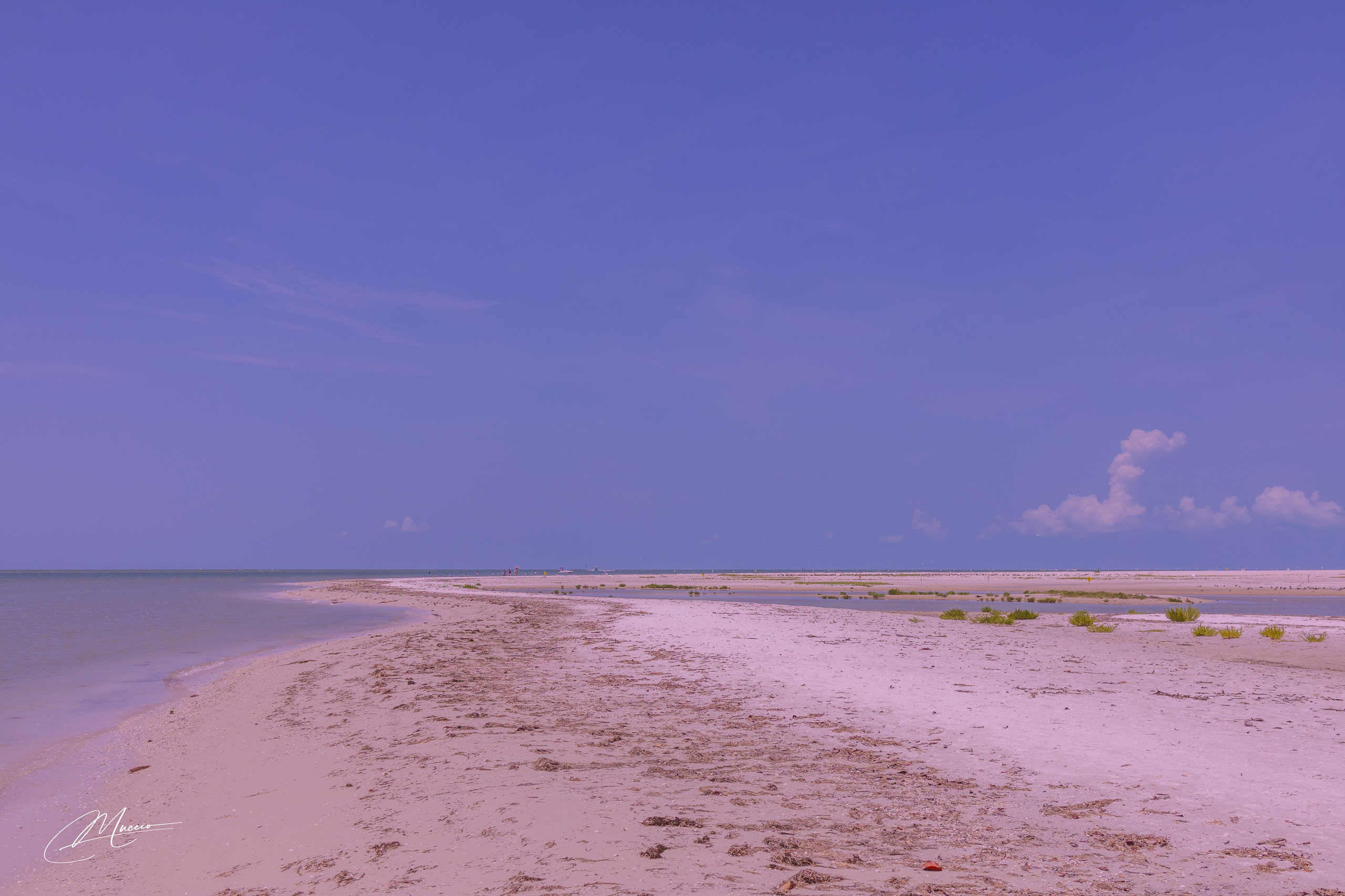 Fort Myers. Out and About 239