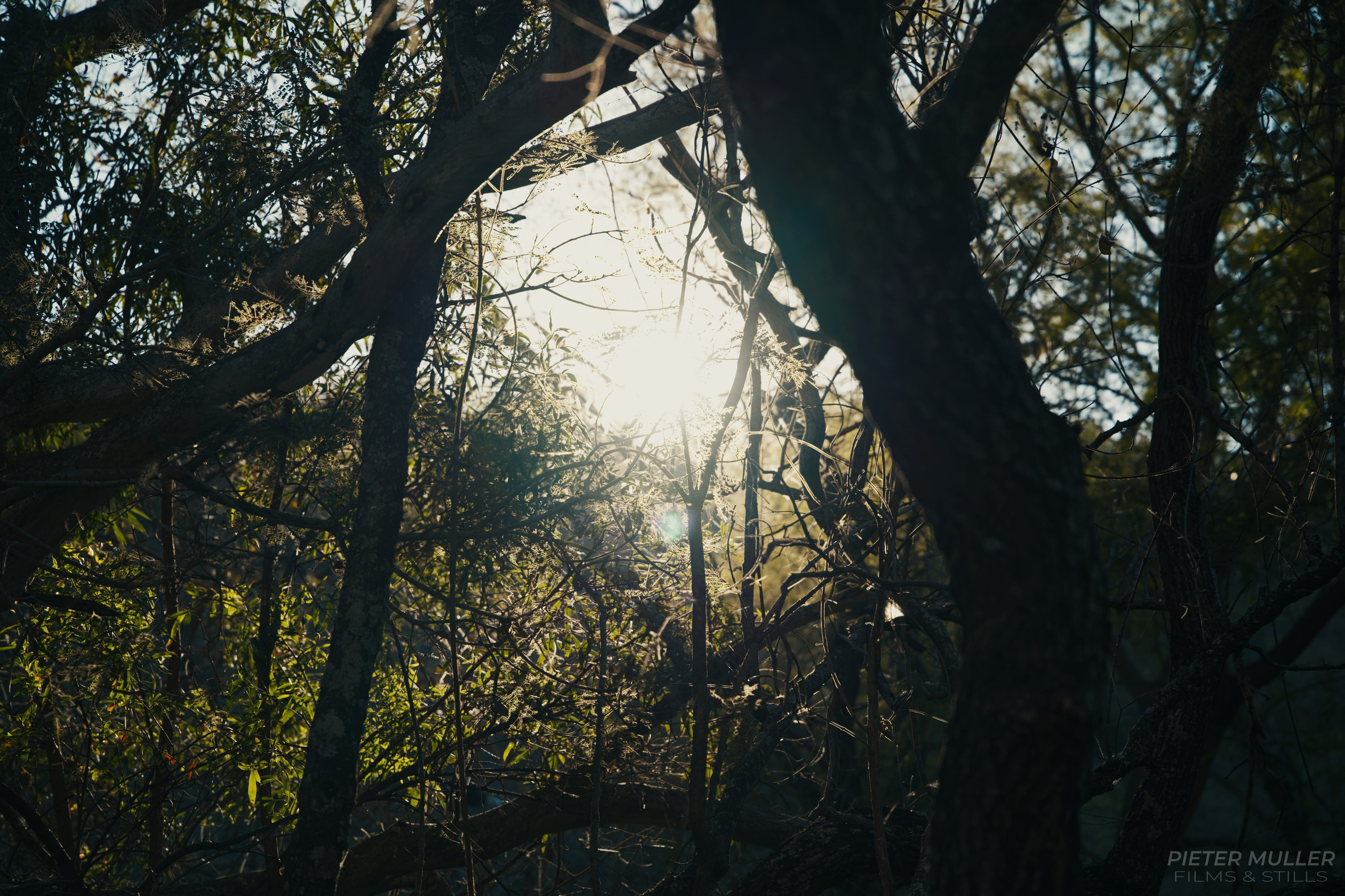 Photo Album. Pieter Muller — Cinematic filmmaker crafting outdoor, lifestyle & brand stories across South Africa