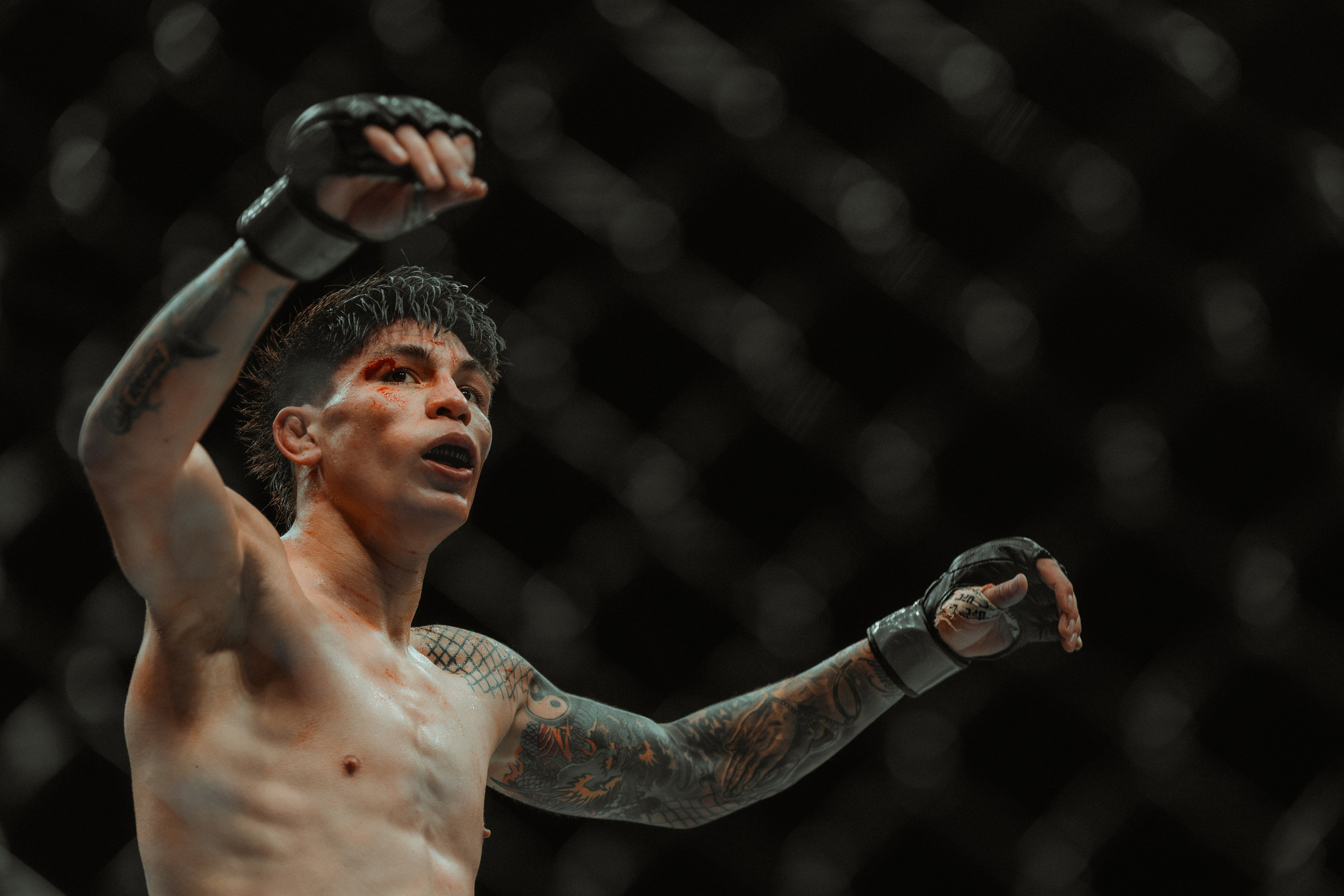 UFC. Commercial and Event photographer Eltaj