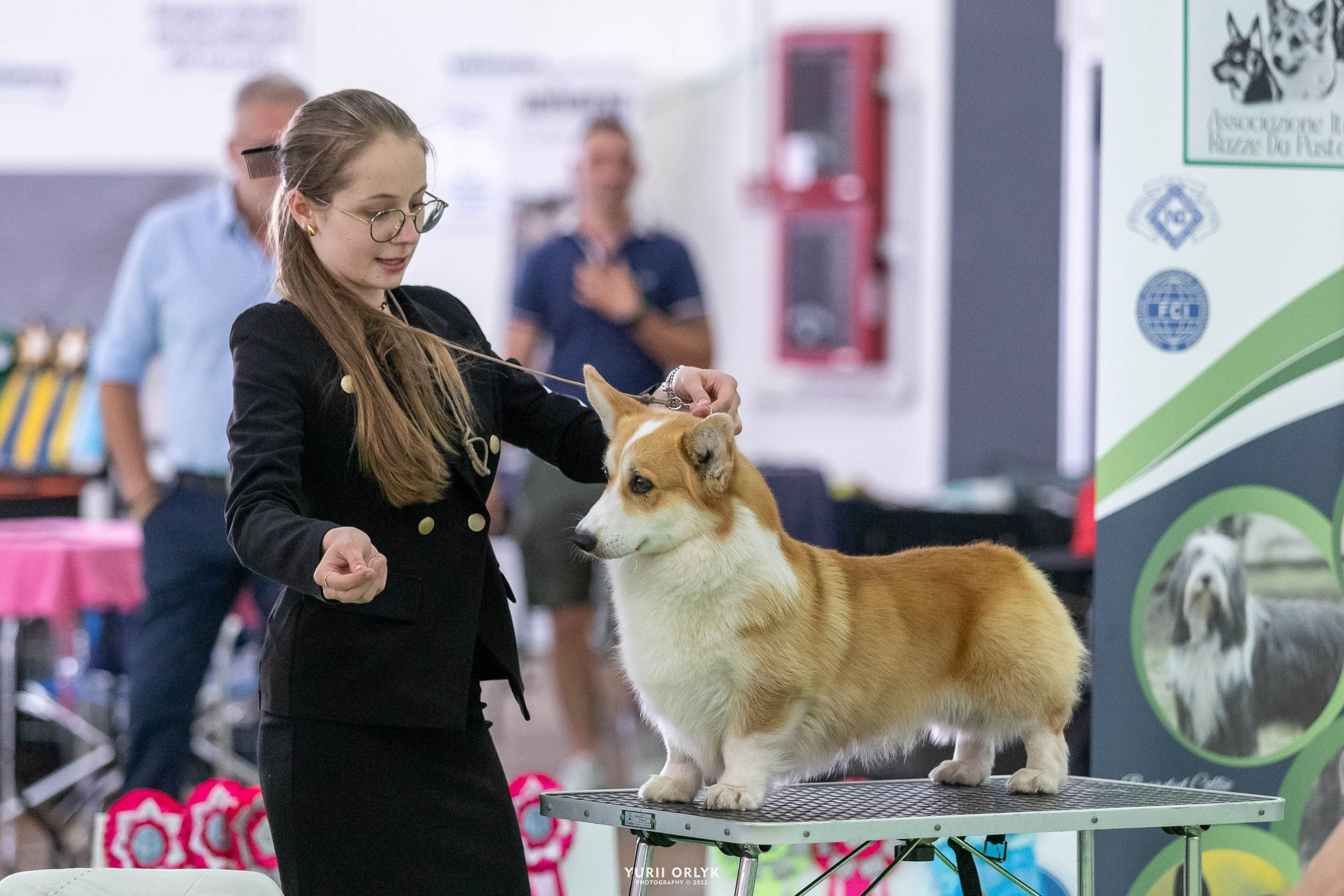 Dog Shows. Yurii Orlyk Photography