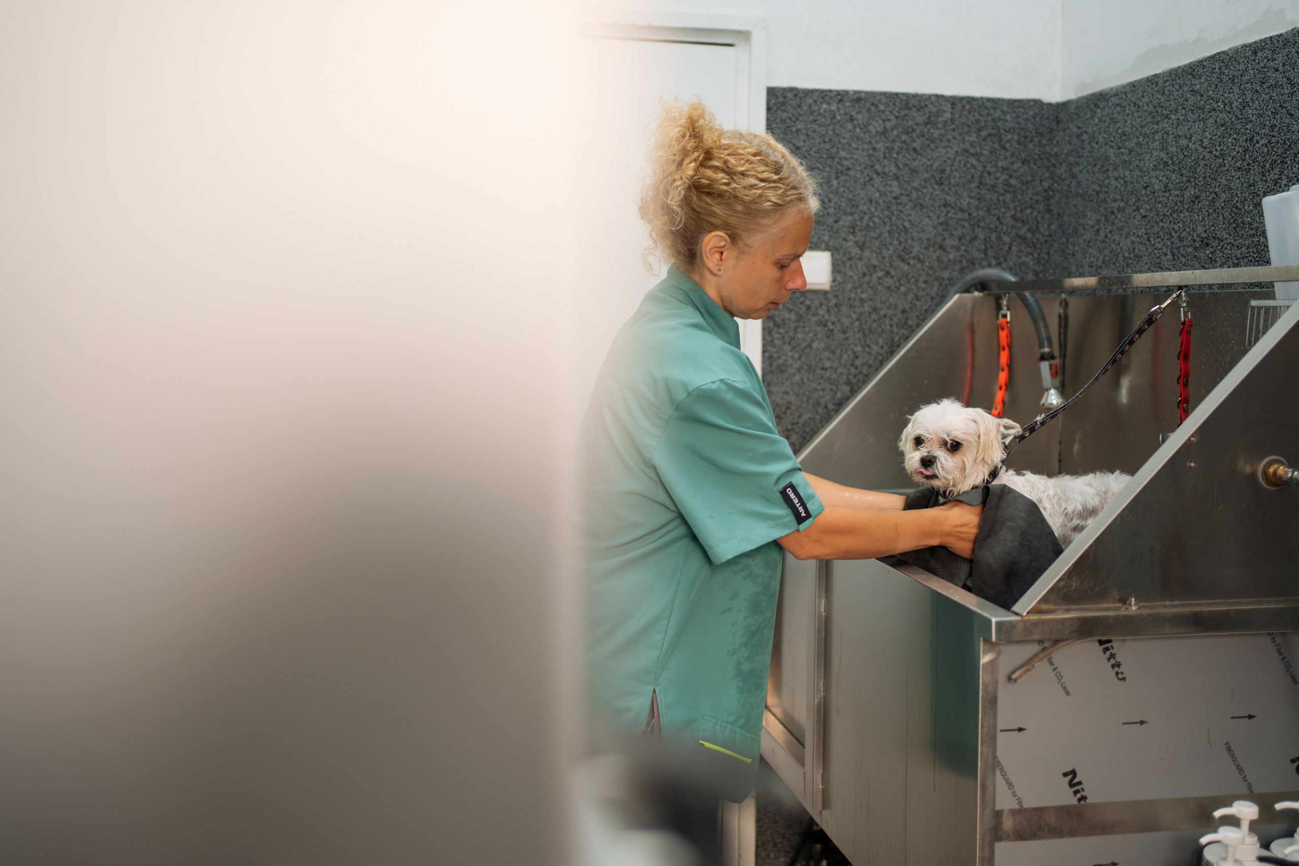 PetGroom Timisoara. Cozac Cristian Photographer