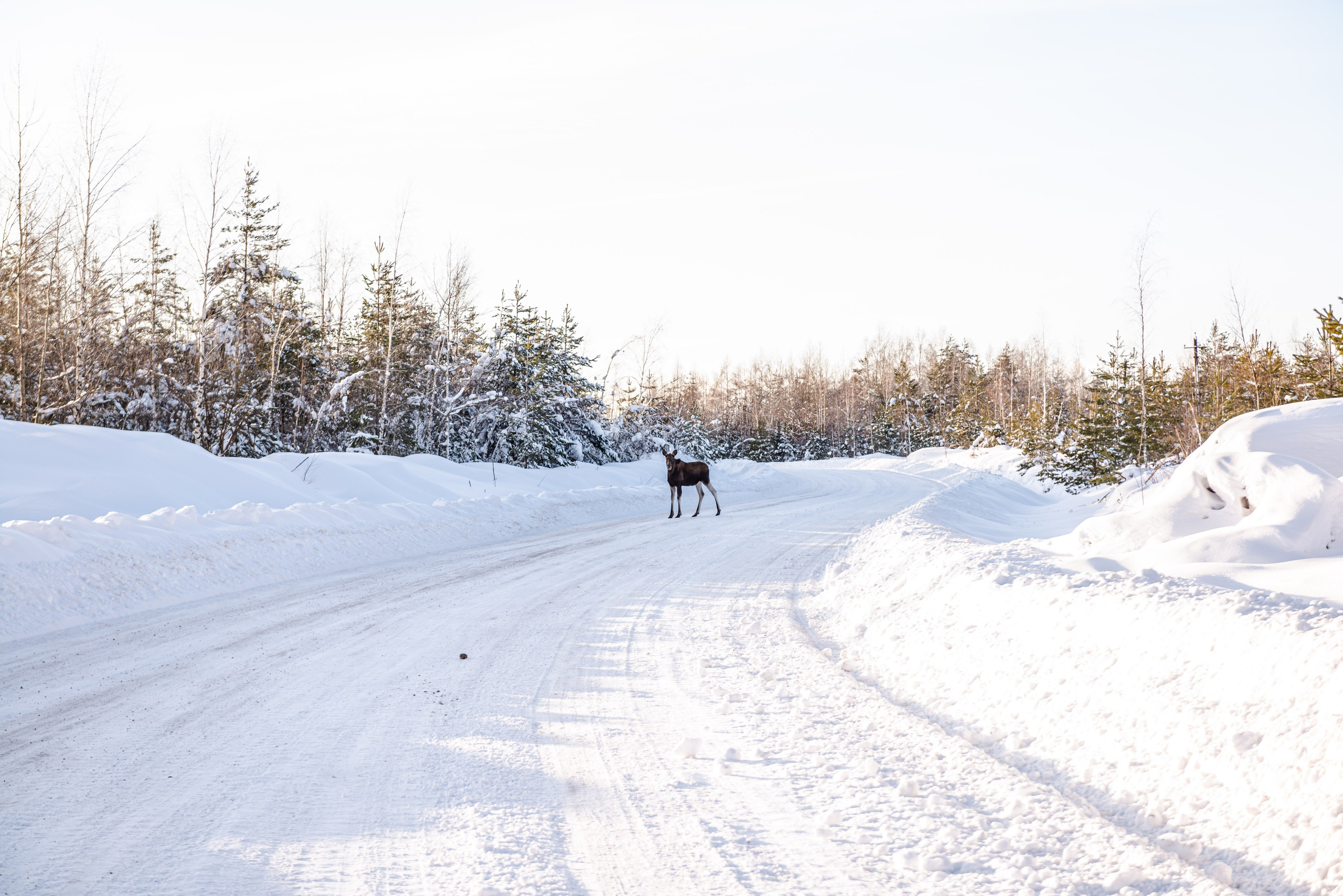 Автомобильная фотосъемка Geely Monjaro. FOTÓGRAFO MÉXICO QUINTANA ROO