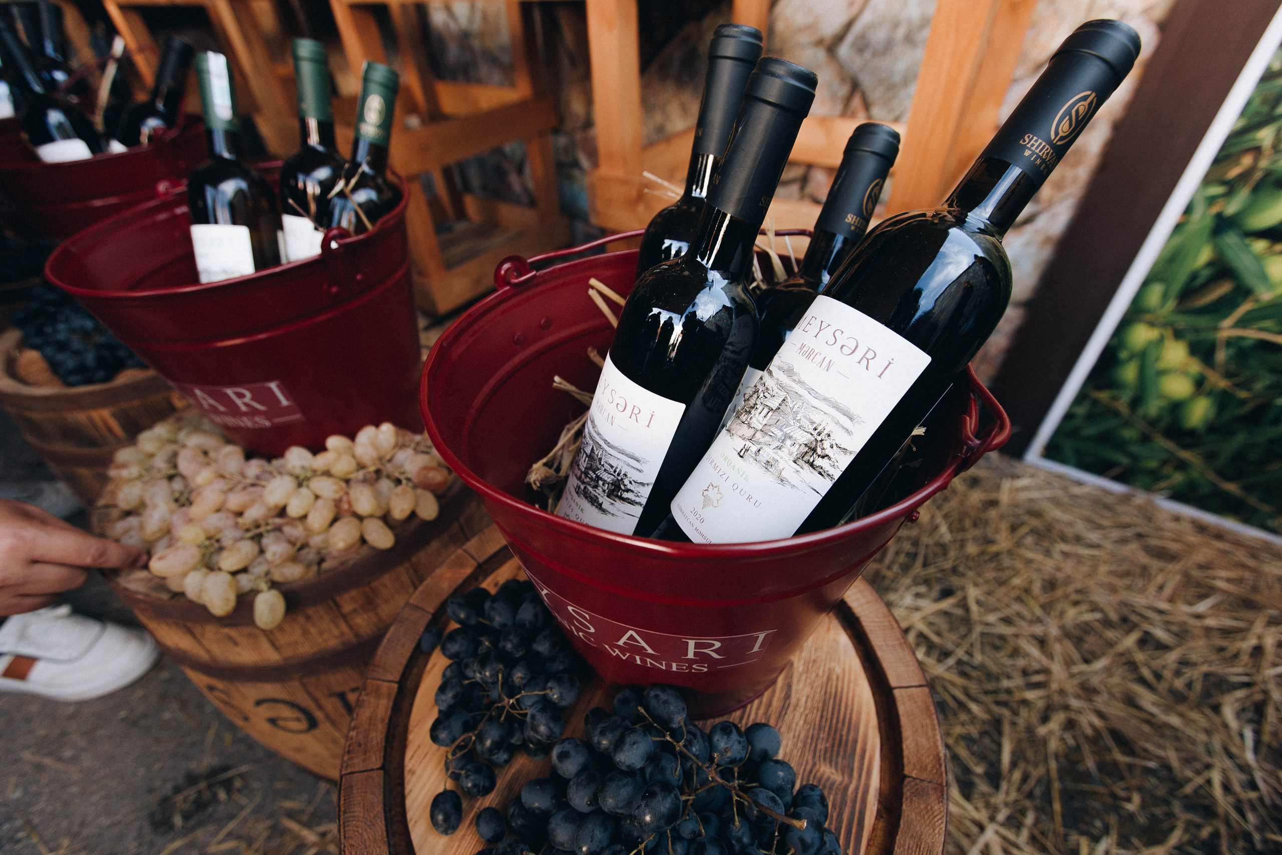 MEYSARI WINE FESTIVAL. Wedding&Event photographer Ismail Rzayev in Baku