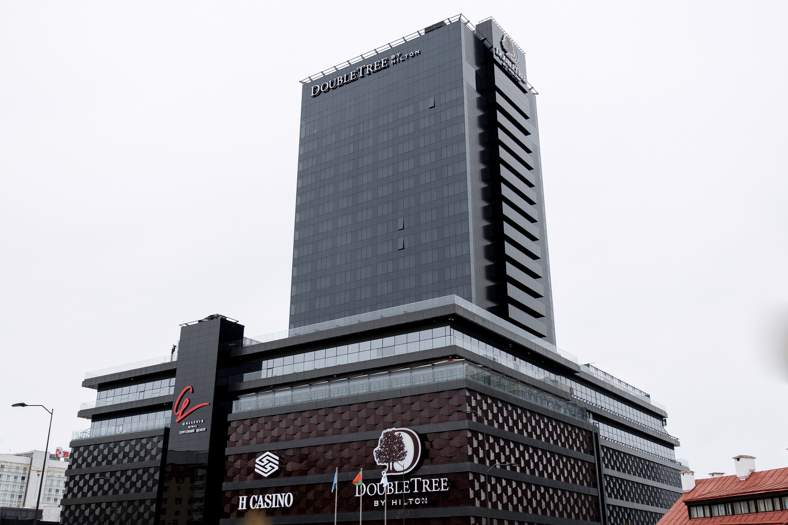 Lions DAY. Свадебный фотограф Каледич Тимофей