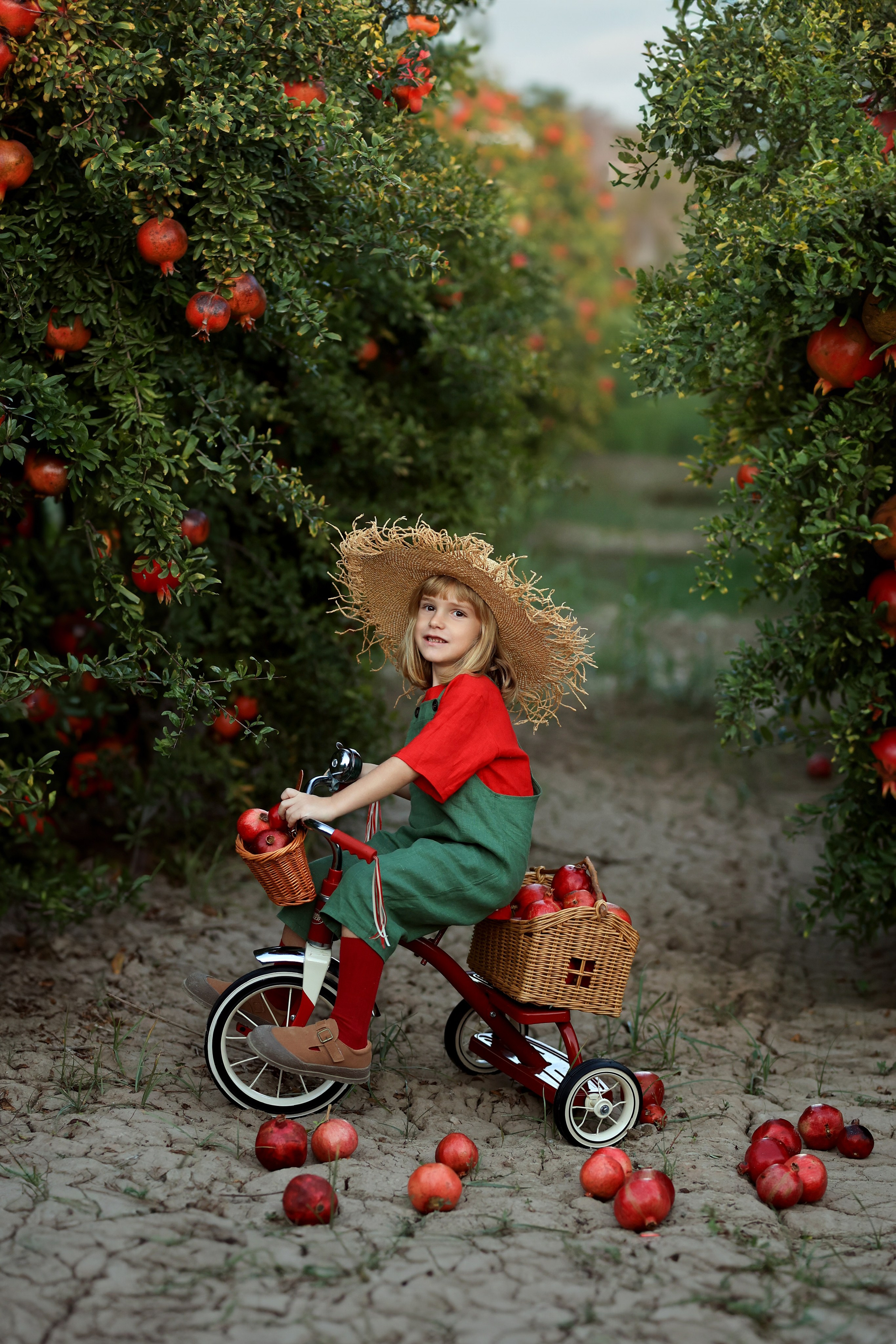 Photoshooting in pomegranate garden. Photographer in Turkey, Antalya, Kemer, Belek, Side, Kas, Fethiye