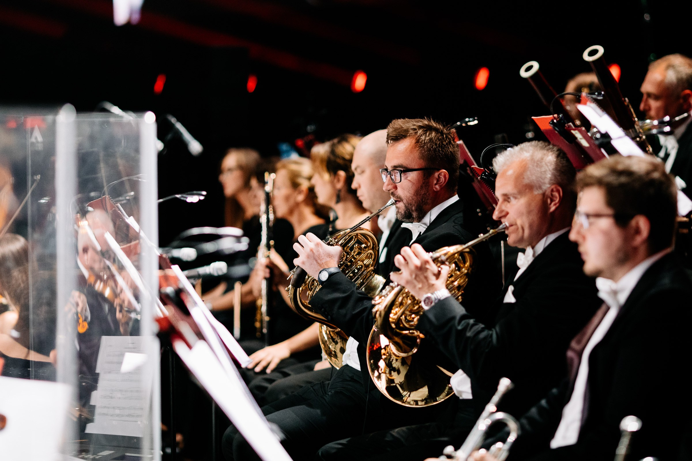 Opera Leśna Koncert. Fotograf Ślubny Warszawa - Sesje Biznesowe Rodzinne Eventy