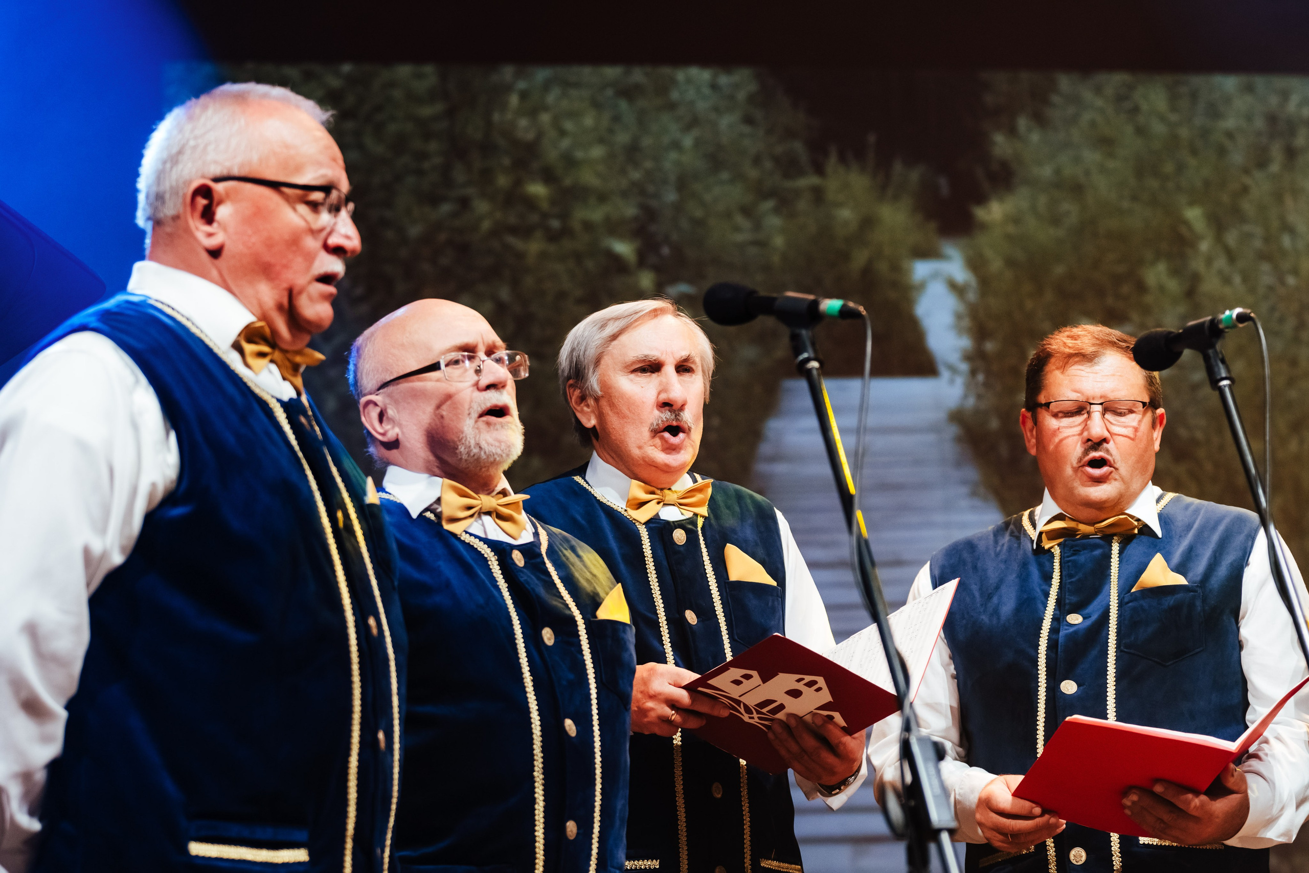 Traku kulturos centro koncertas. OnePIXEL