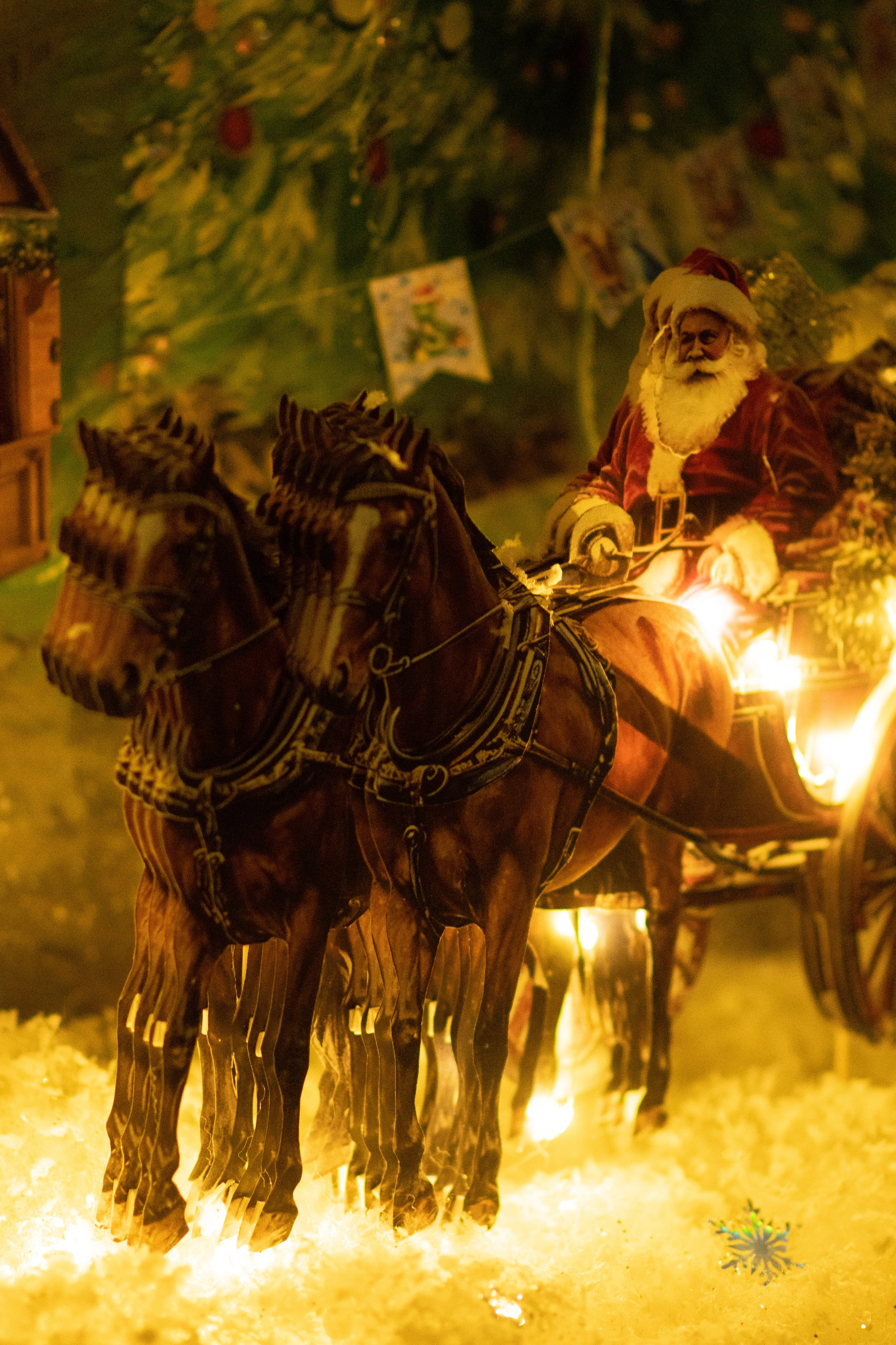 Проект. Семейный и детский фотограф