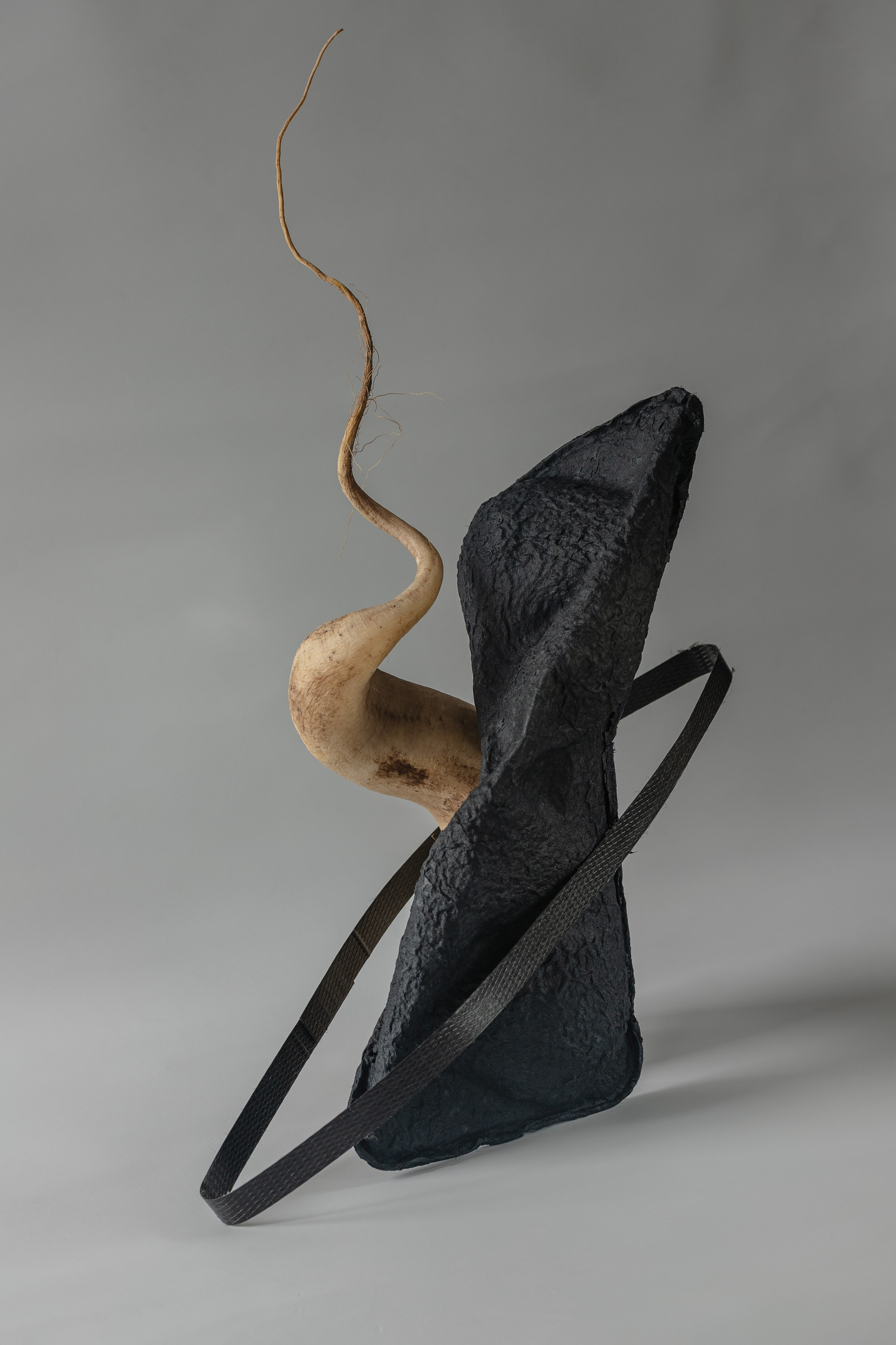 still life contemporary composition