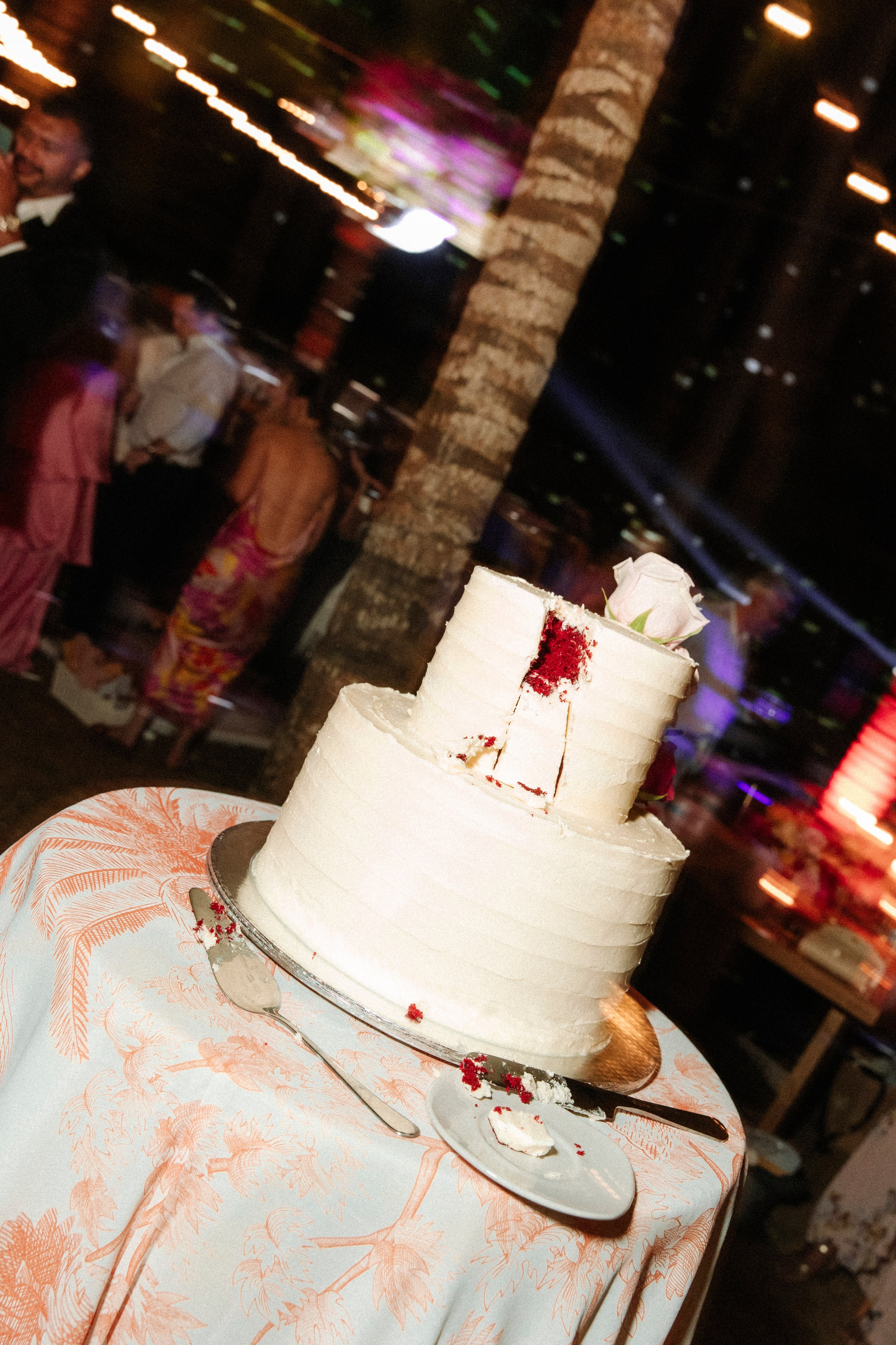 Teitiare Estate, Sayulita. Wedding photographer Mexico Sayulita Puerto Vallarta Punta Mita Cabo