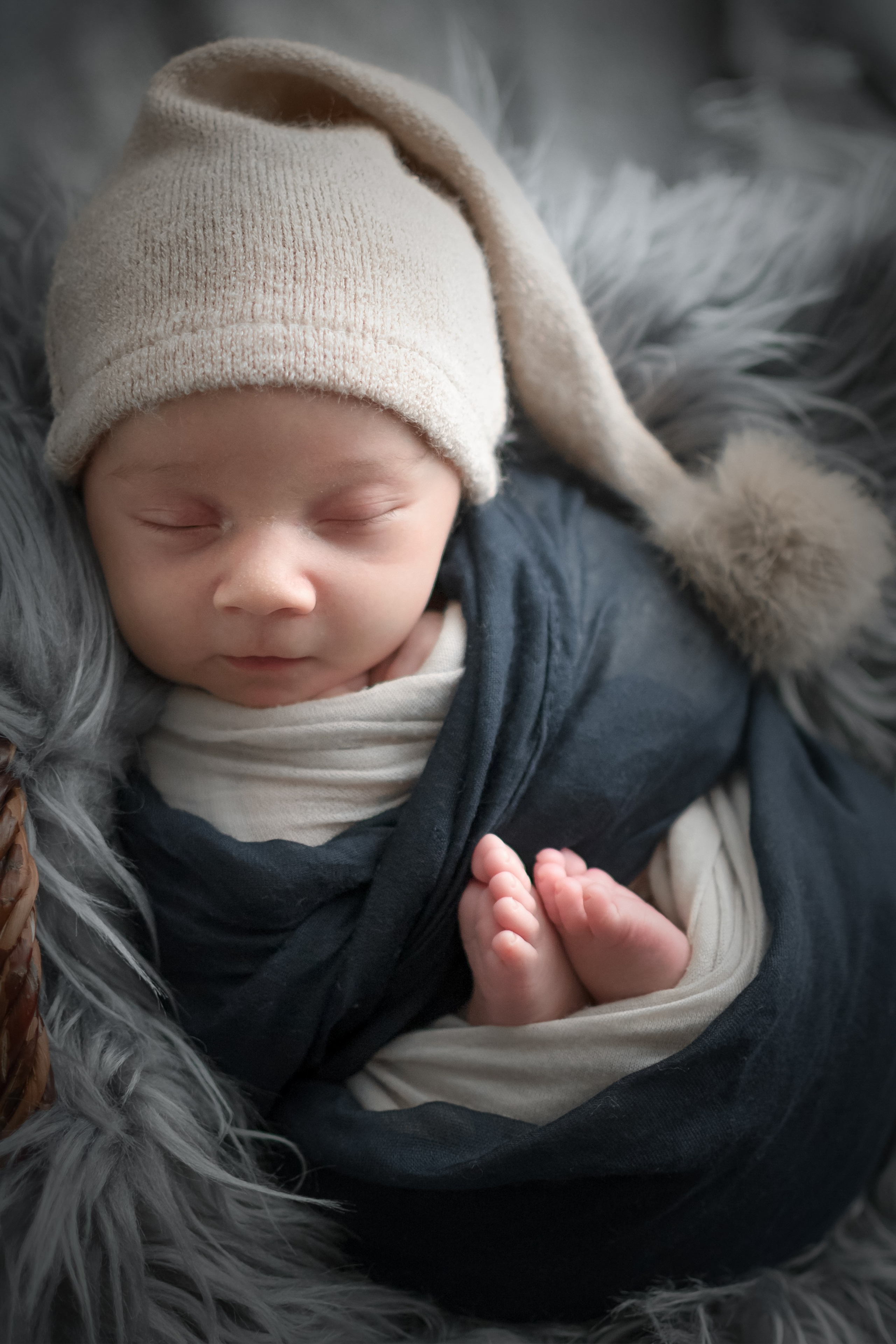 Neugeborene. Lena Horch