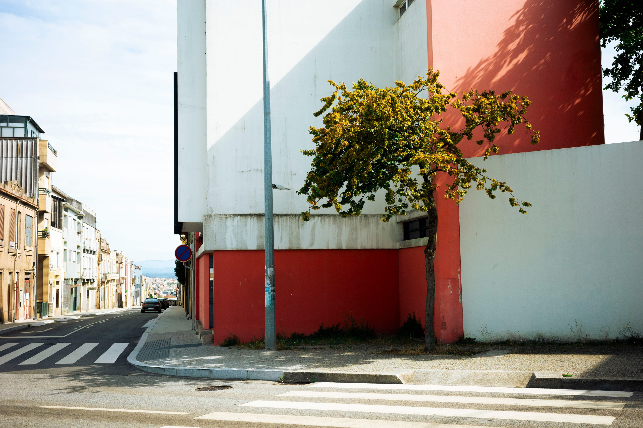 Работы Марии Шер. Sher.SCHOOL