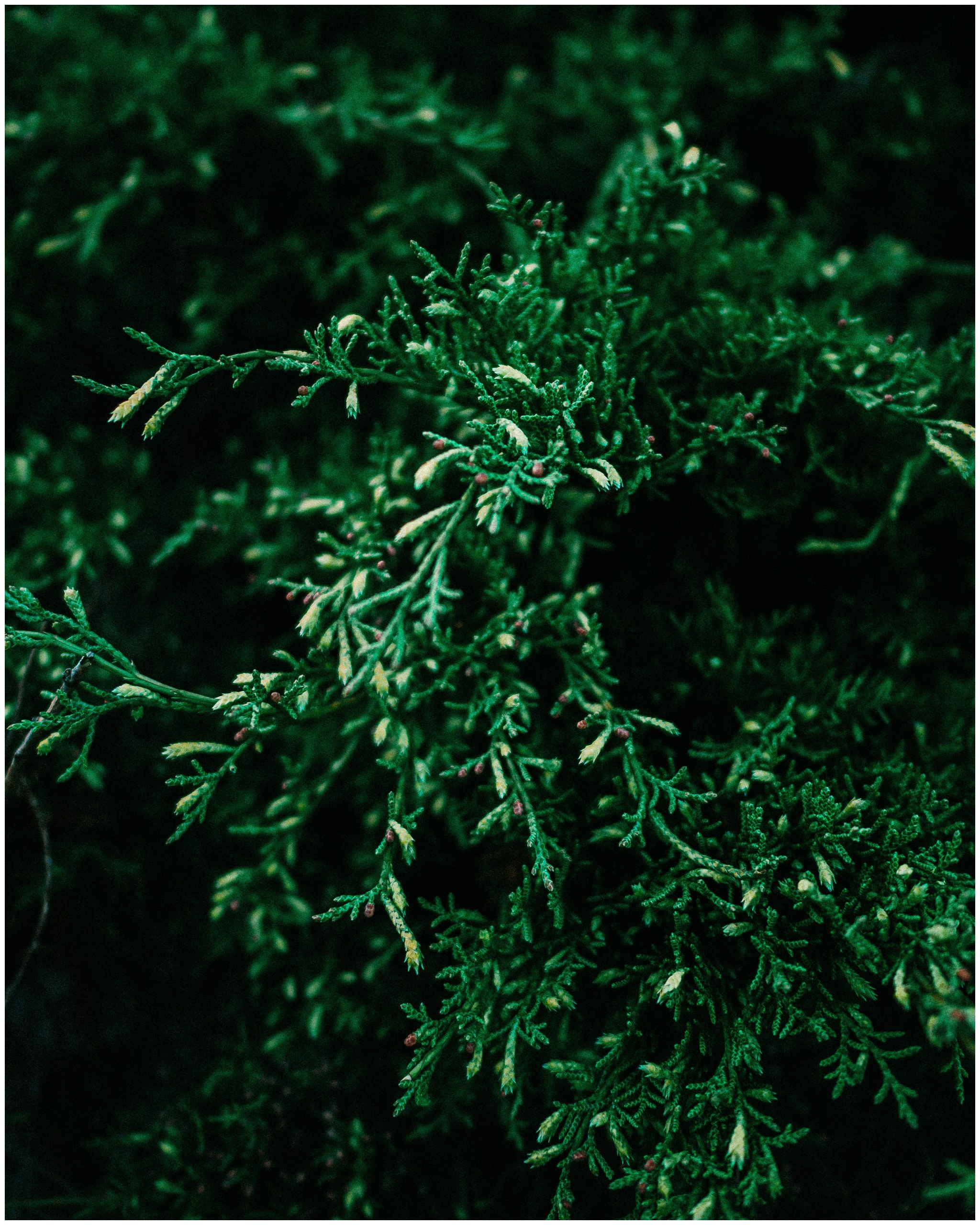 BARCELONA. Inna Mendelson — Photographer