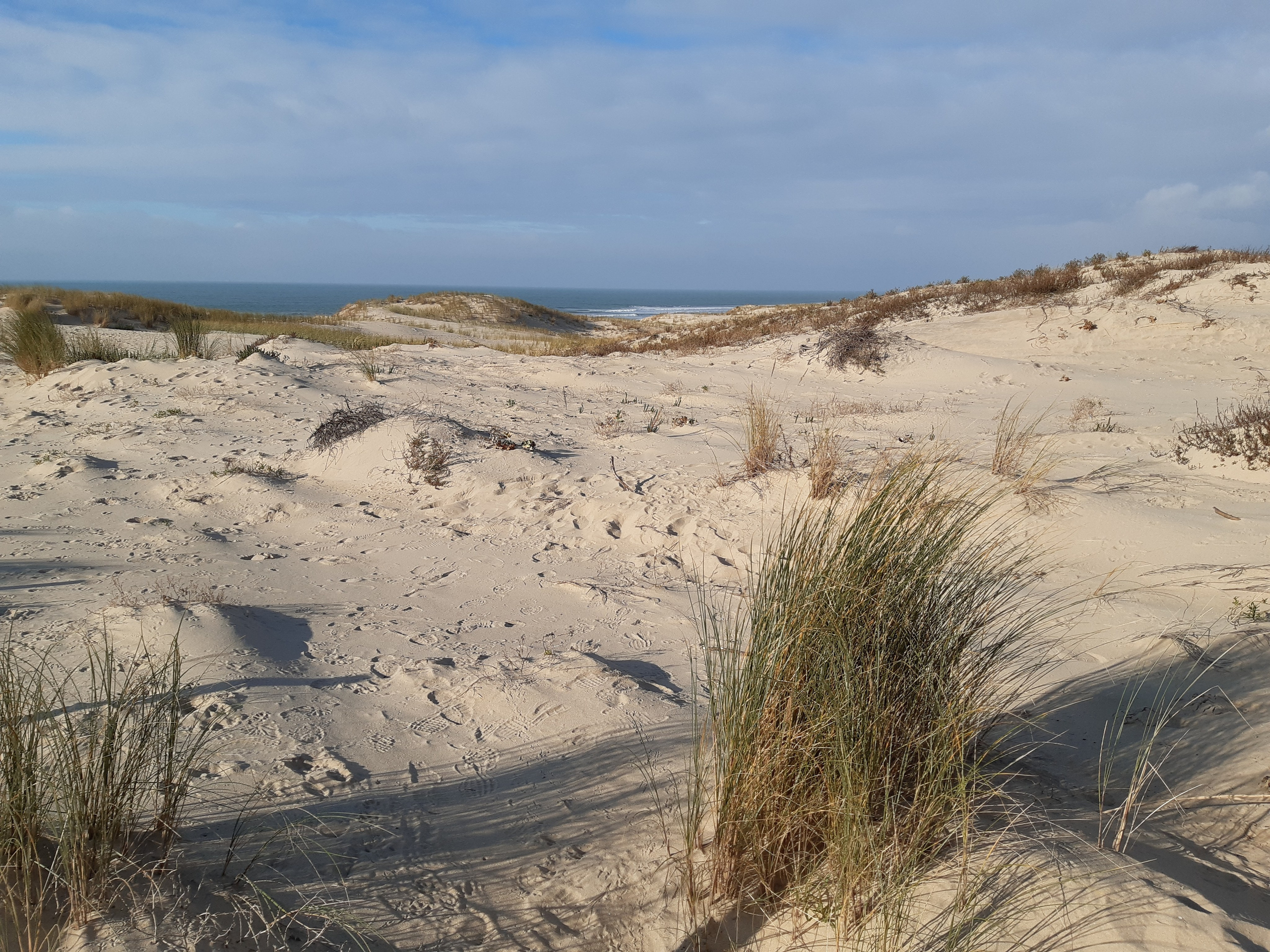 Materials collection and inspiration. Anne-Flore REY, Artist — Painter and Sculptor in TOULOUSE (FR)