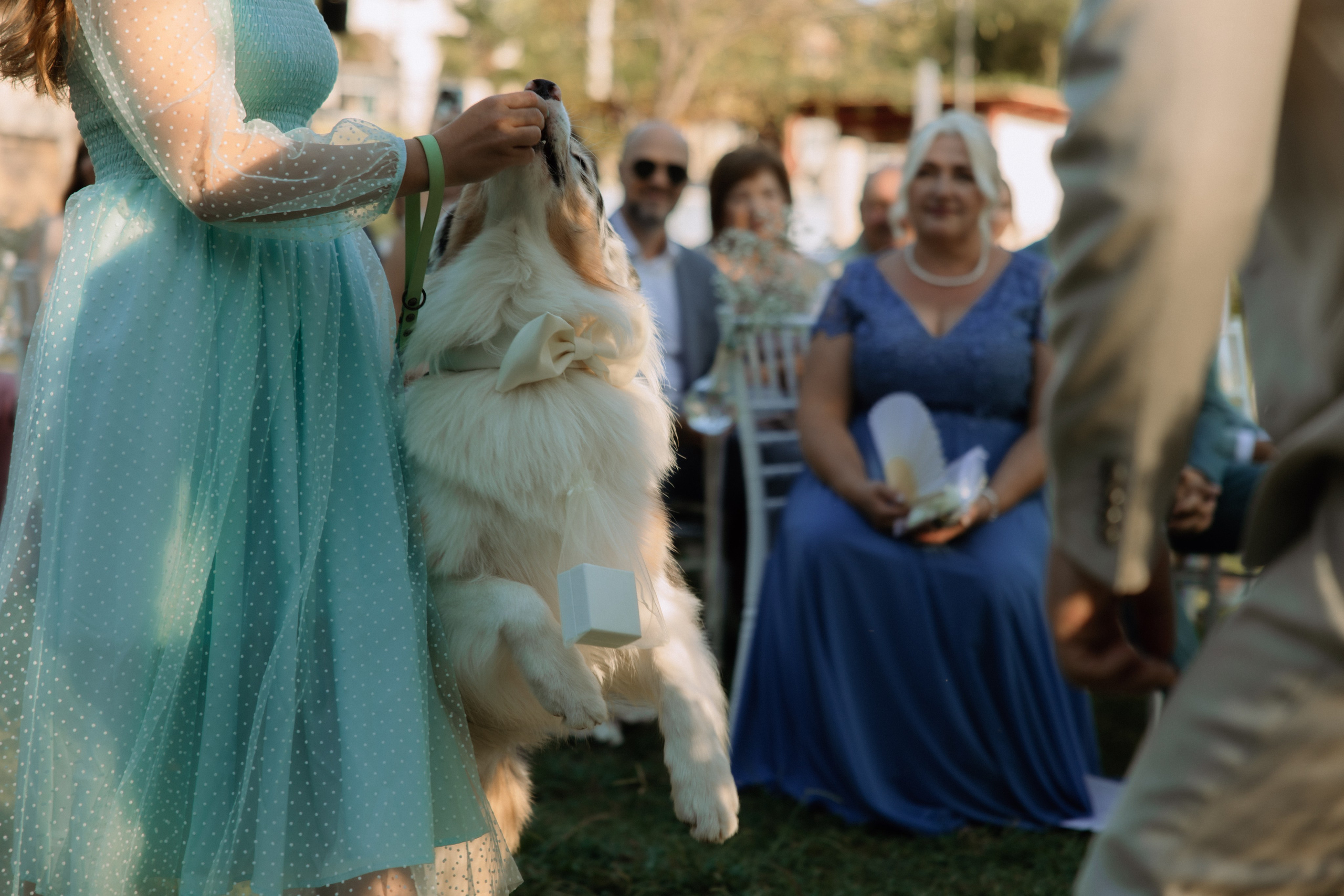 Justyna ir Paulius | 2023 | MONTENEGRO. Vestuvių ir šeimų fotografė Lena Bondarenko / belove photo