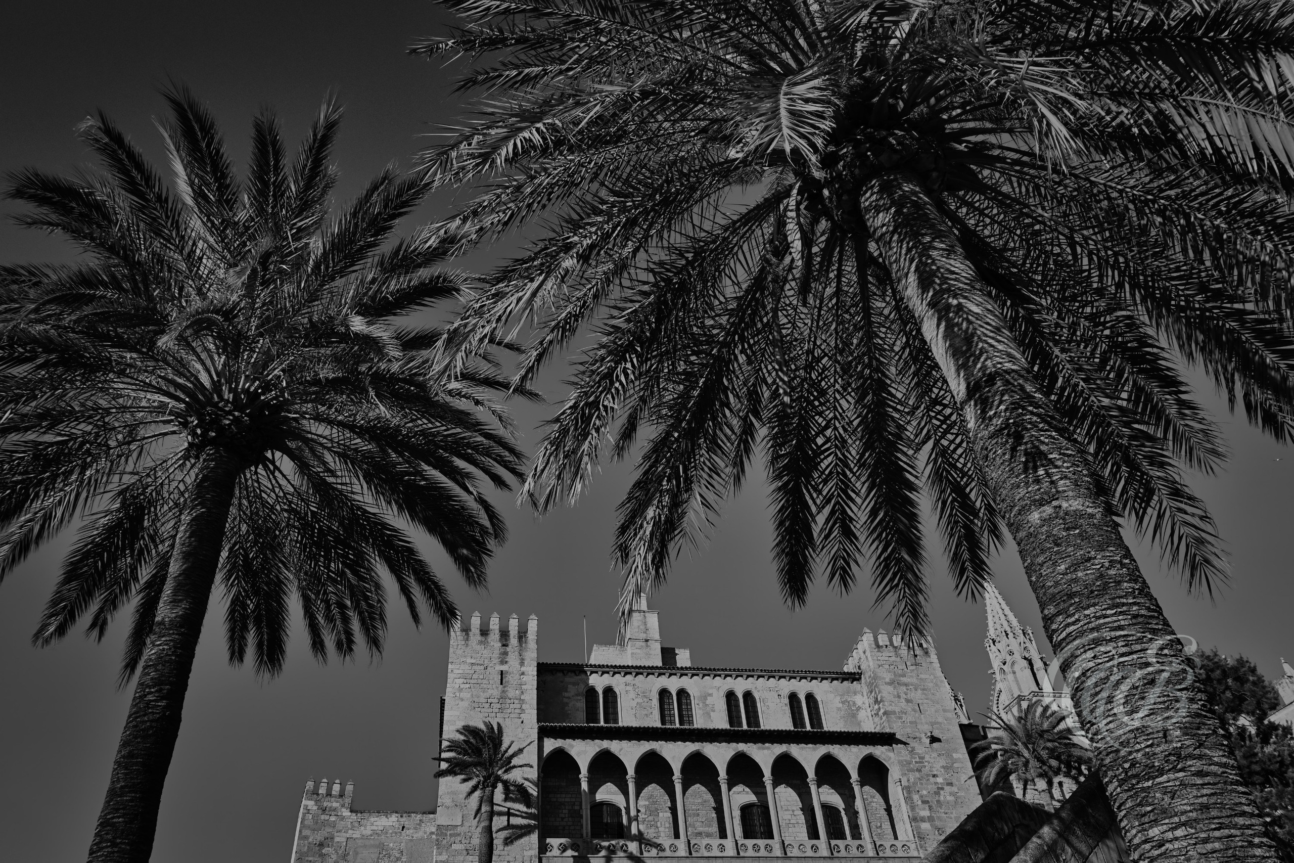 Mallorca in Black & White — Fine Art Photography Noir. Eduardo Bartoli Photography