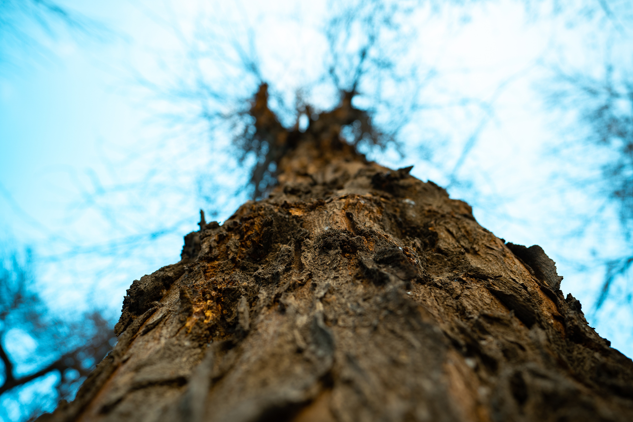 Sigma 20 mm F1.4 DG DN Art. Фотограф Григорий Кравец