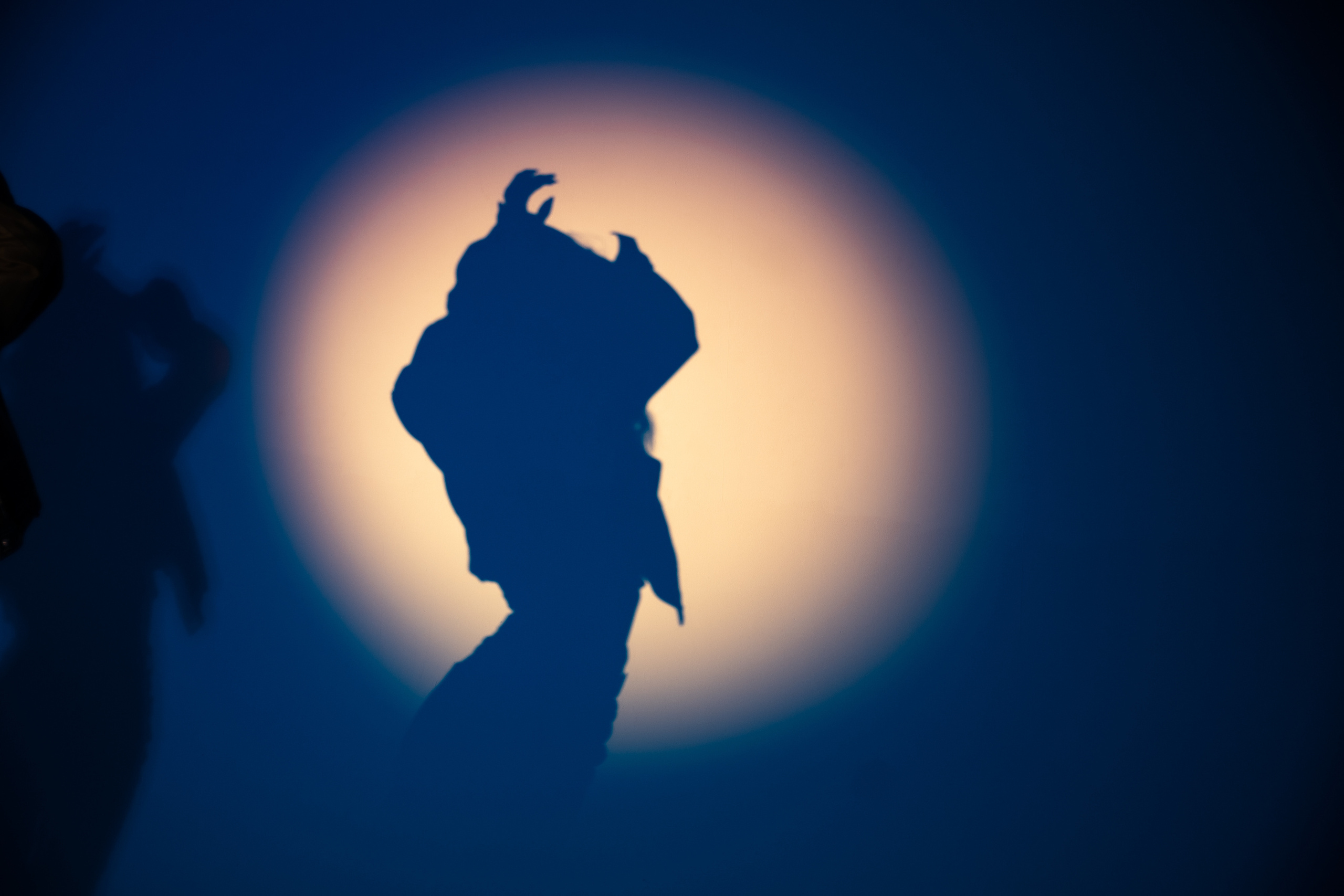 Жёсткий свет. Студия. Фотограф Григорий Кравец