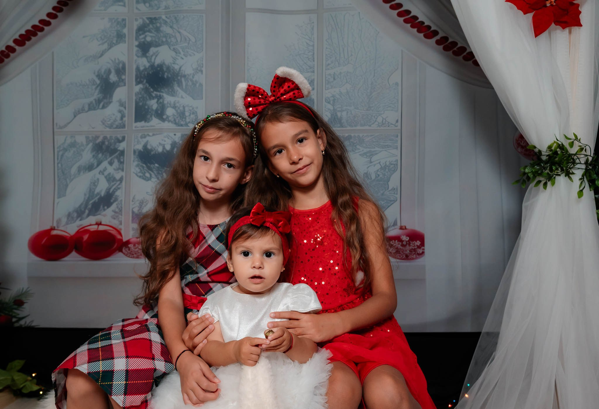 Sedinta Craciun Alina