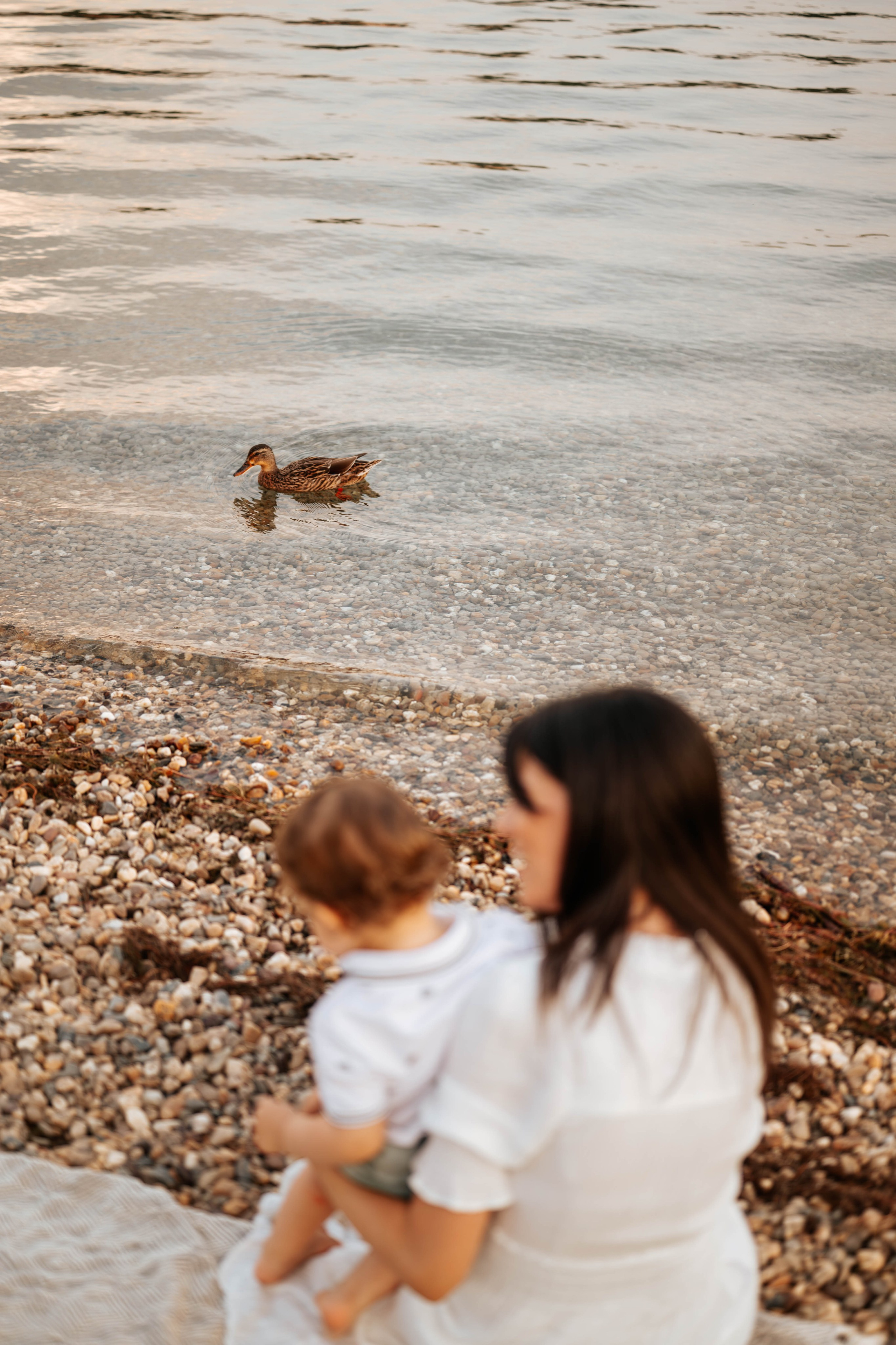 Bojana, Marko, Luka i Anika - porodično fotografisanje. Dečiji i porodični fotograf