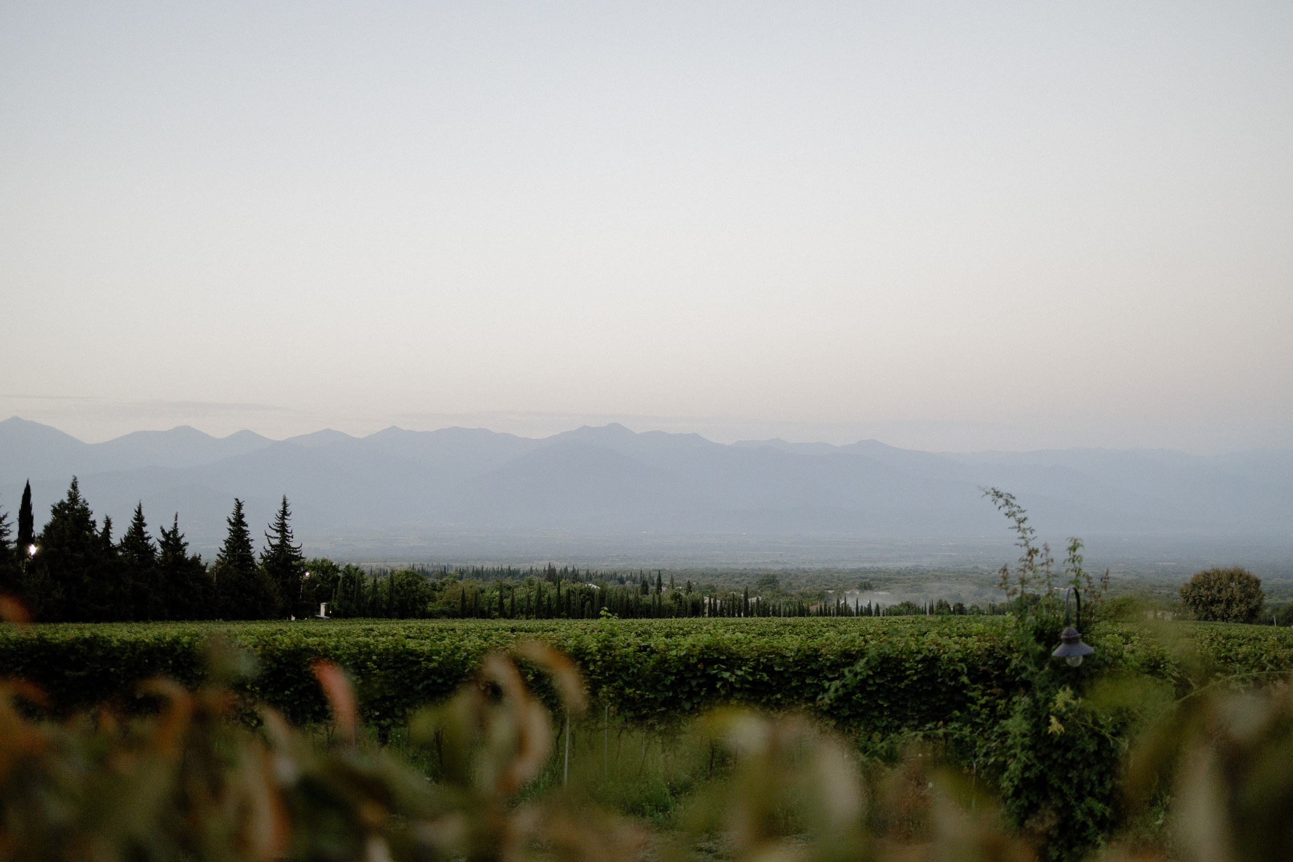 Ninutsa & Irakli. Photographer Anna Nazarenko