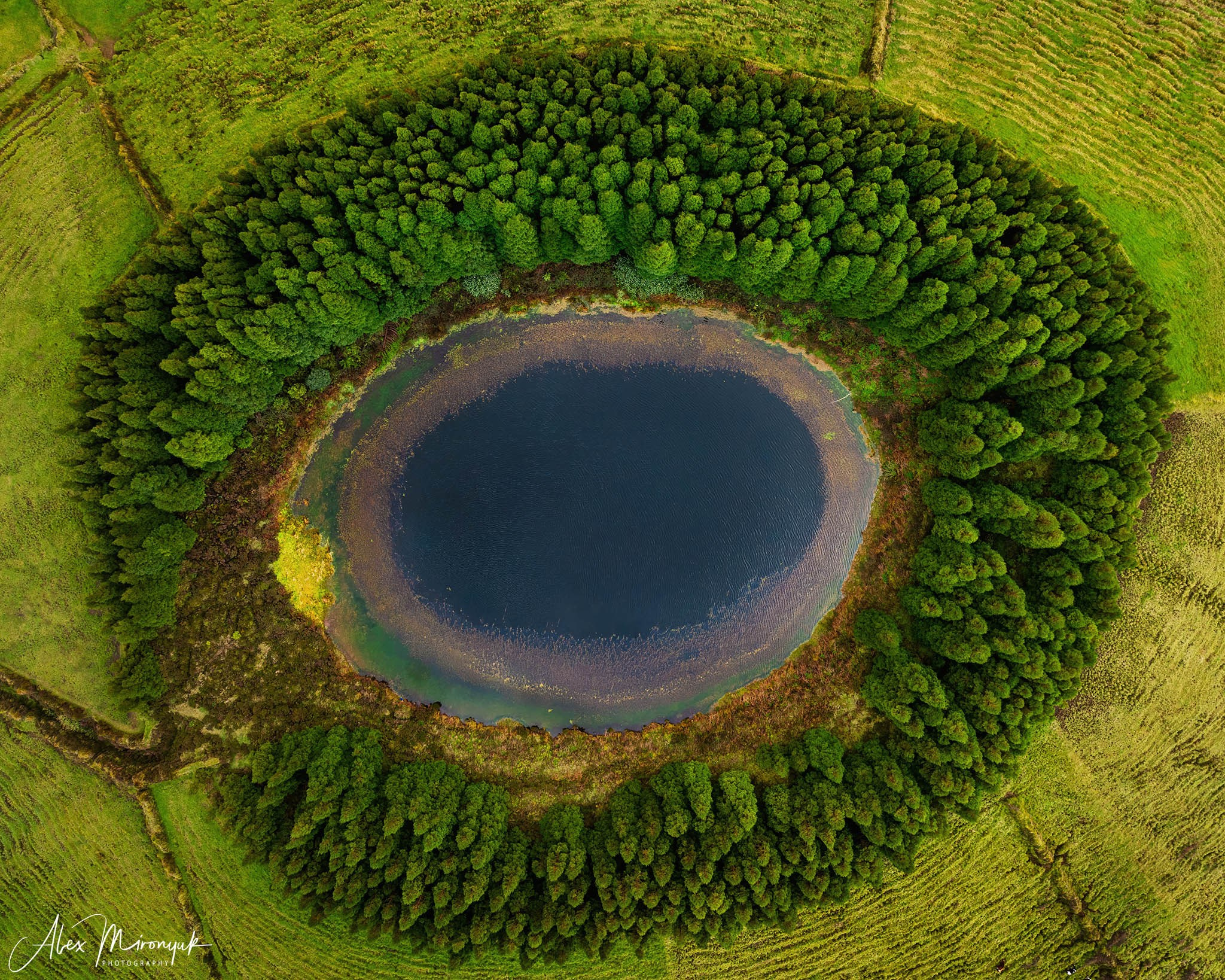 Azores And Madeira. Pet, Senior, Landscape, portrait studio, photographer in Miami and Sou