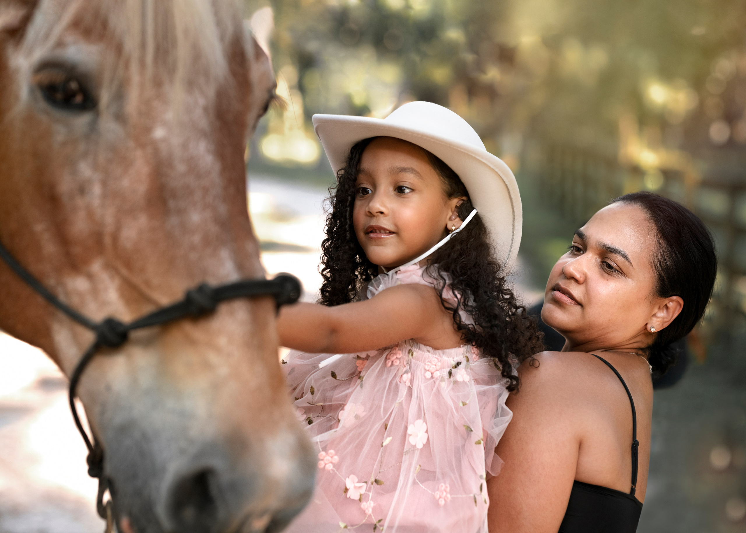 Birthday. Portrait, kids and family photographer in Wesley Chapel Alina Alice Osipova