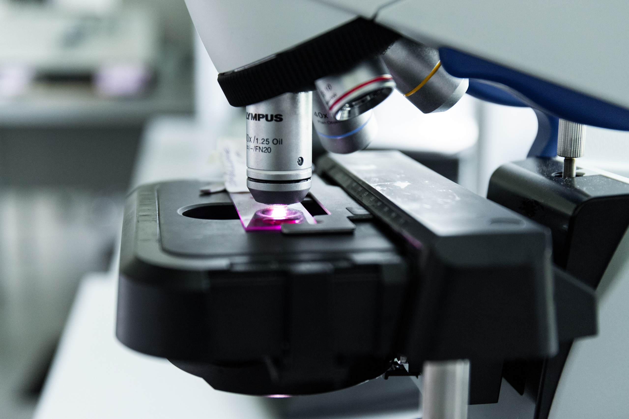 Business. Portrait and family photographer in Fort Collins Dania Gaisina