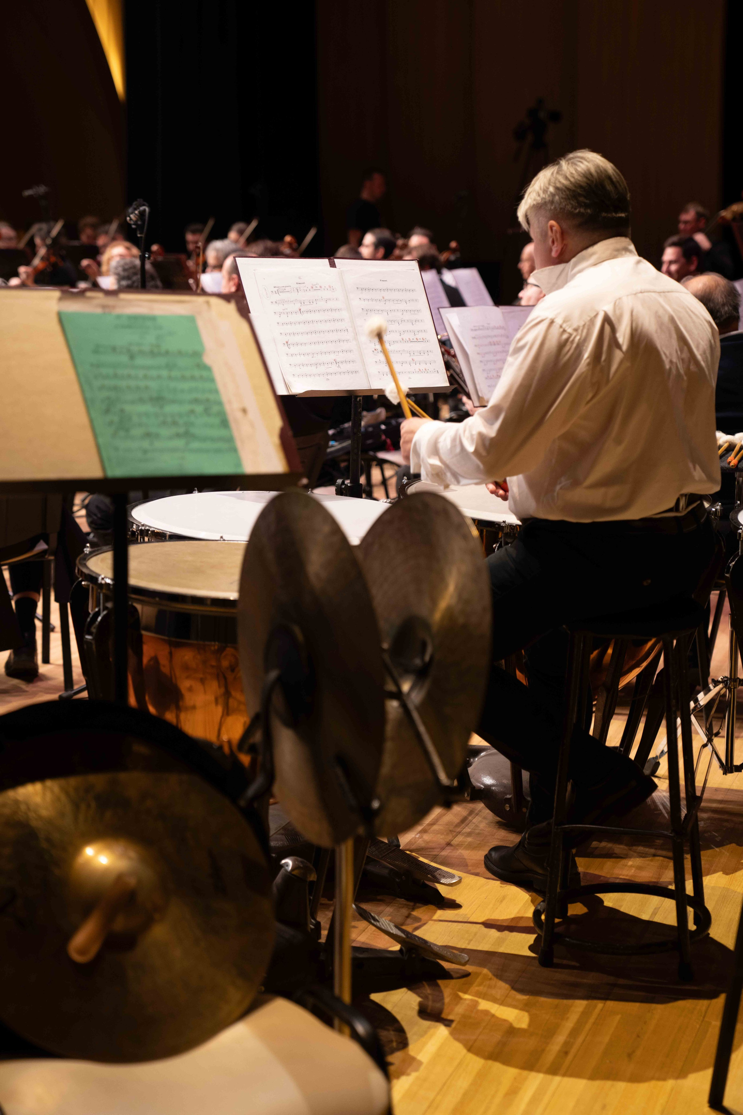 The Tchaikovsky Academic Grand Symphony Orchestra in Baku. Wedding&Event photographer Ismail Rzayev in Baku