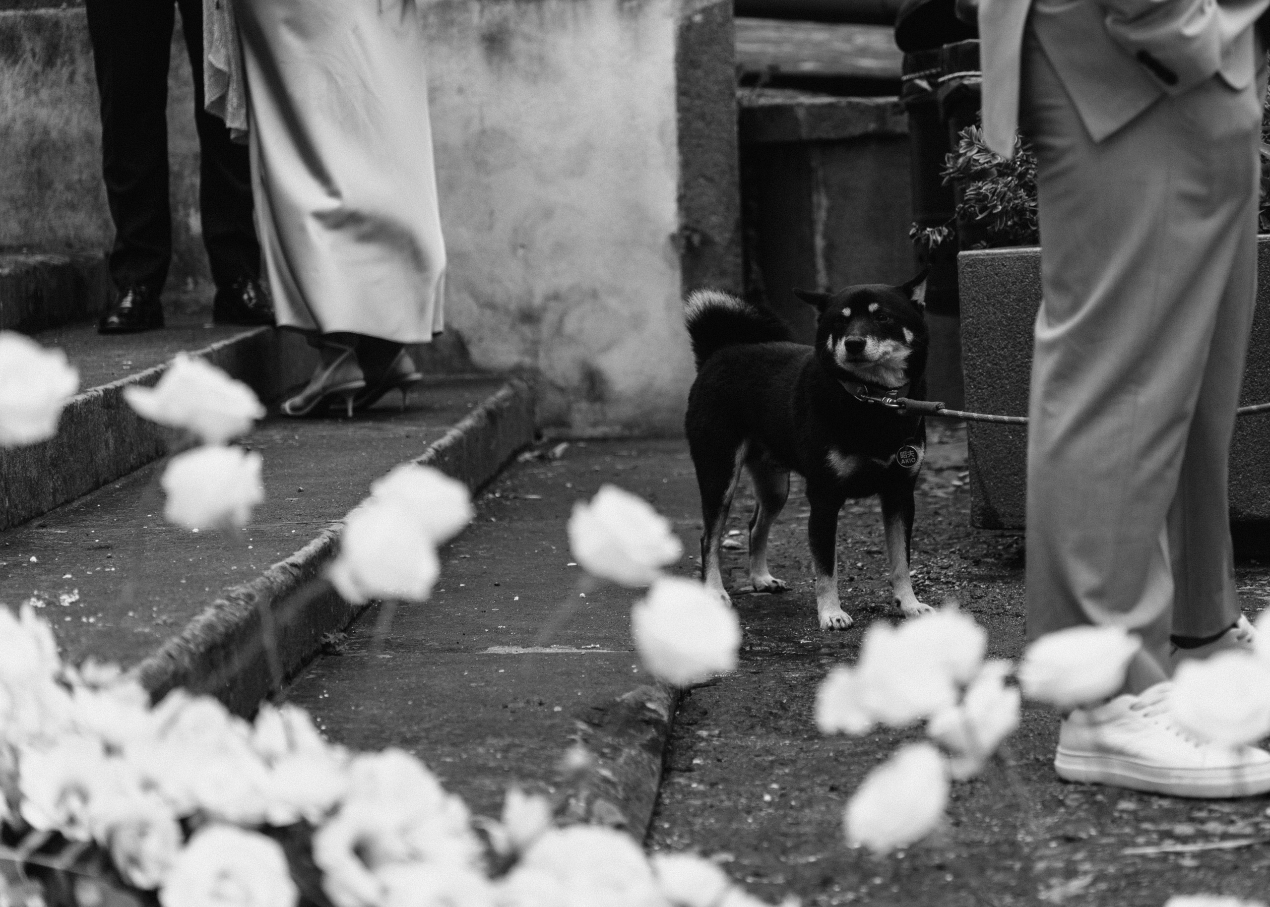 Domenico Svetlana. Дарина Иванова, лайфстайл фотограф в Неаполе. Портреты, свадьбы