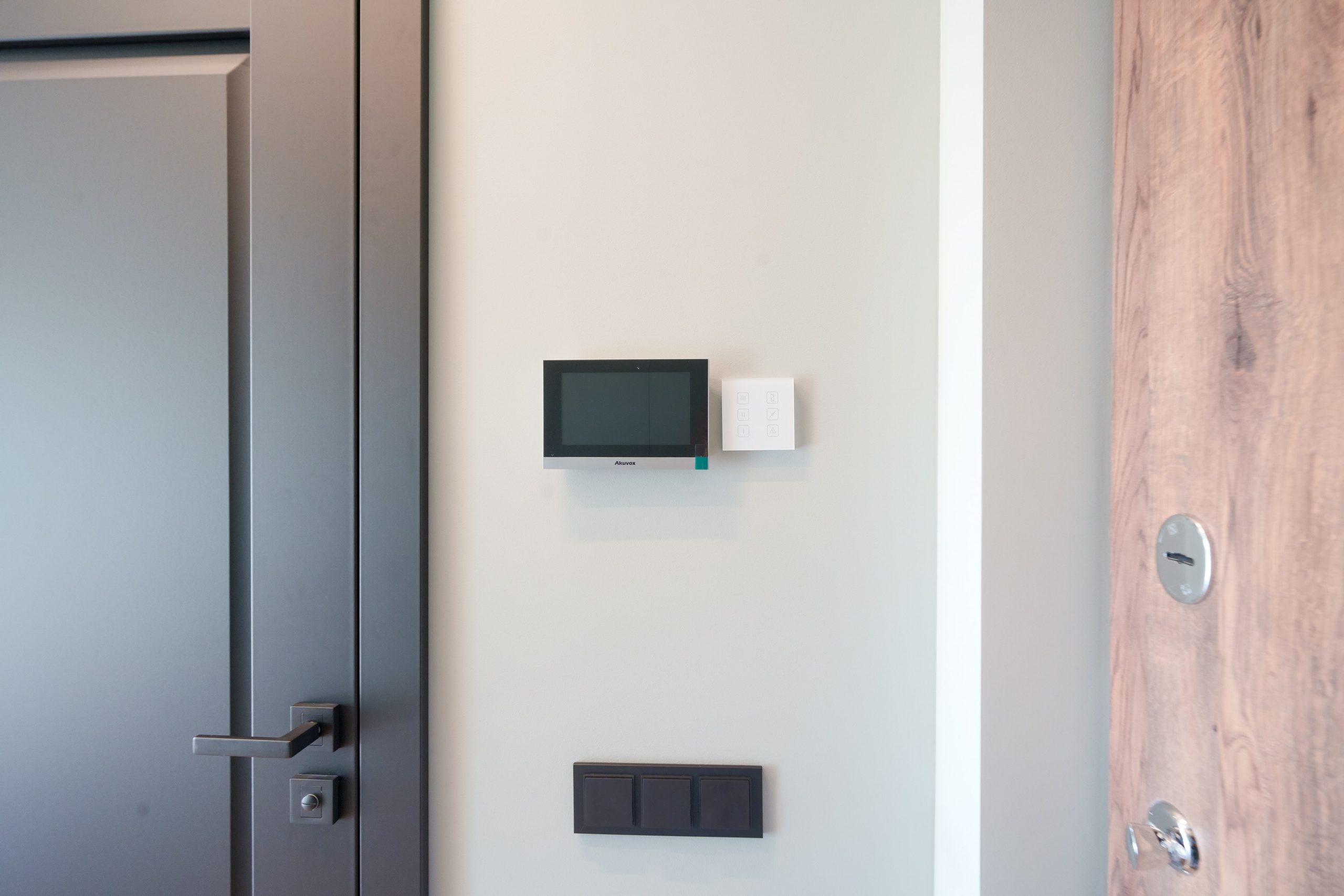 Bajorų kel. 29 2 butai (1). Elina Sapiega fotografė Vilniuje