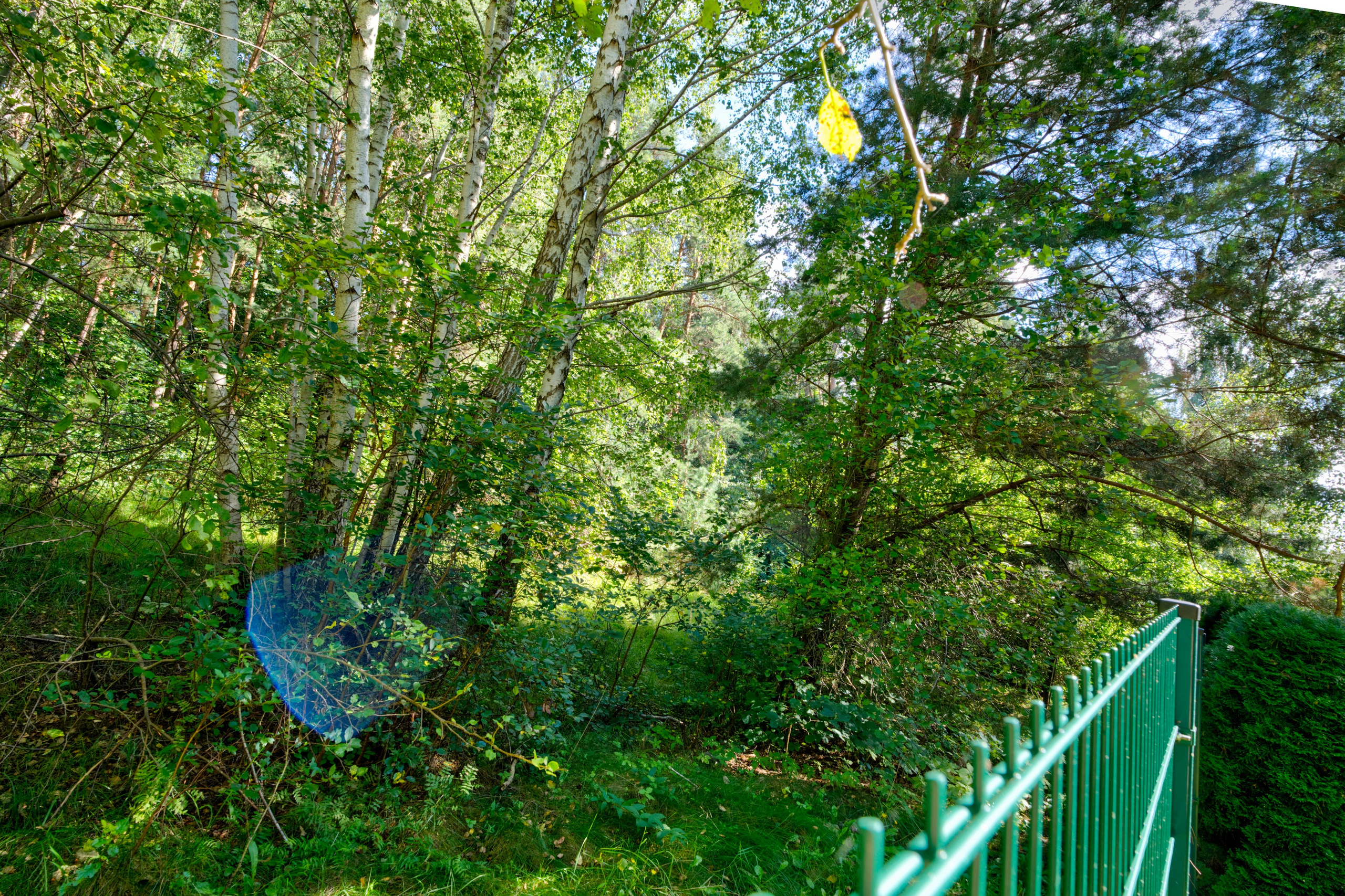 Mokslininkų g. 7. Elina Sapiega fotografė Vilniuje