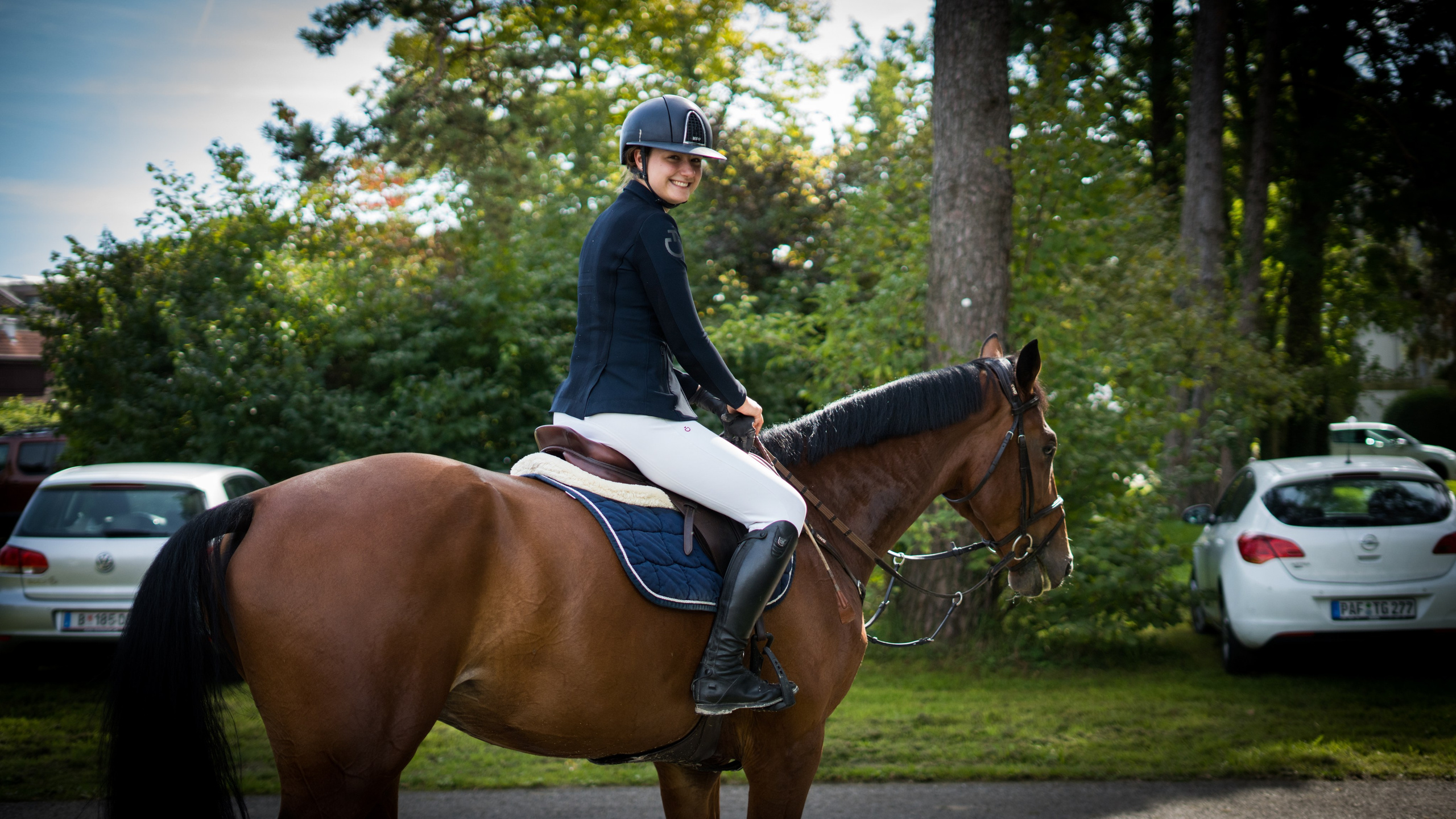 Equestrian Competition