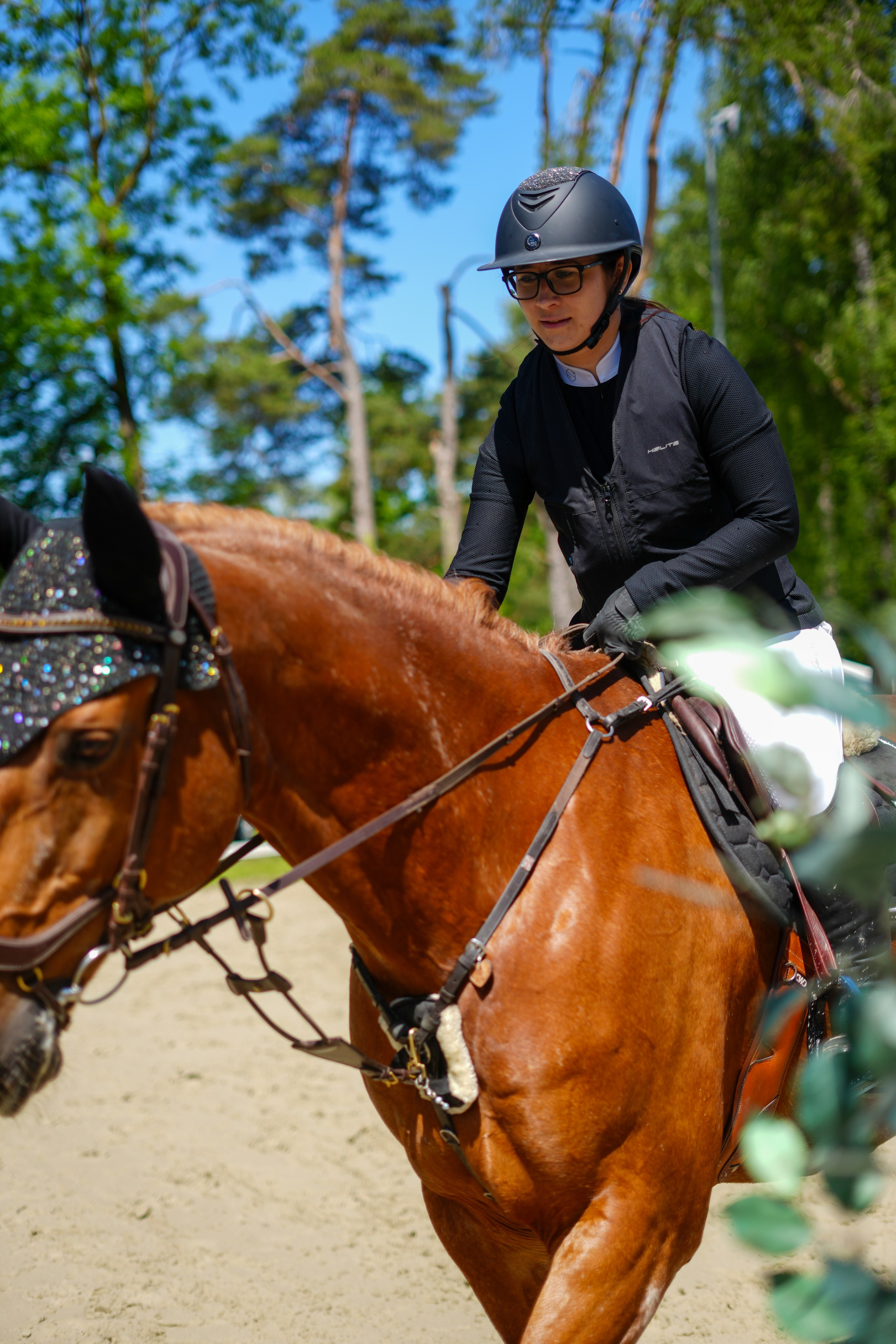 Equestrian Competition