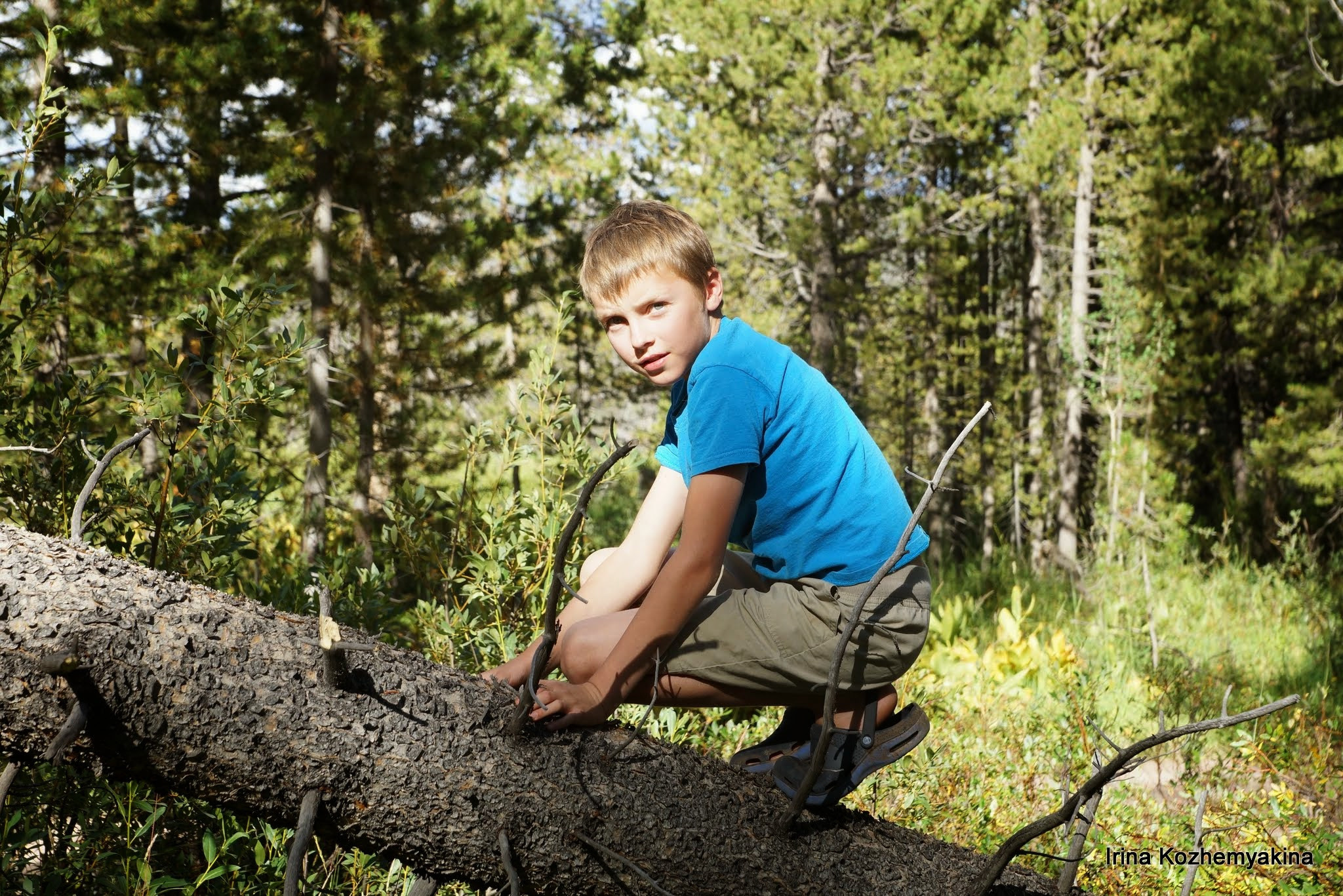 2014-08-10, Mushrooms. Photographer Irina Kozhemyakina. Houston