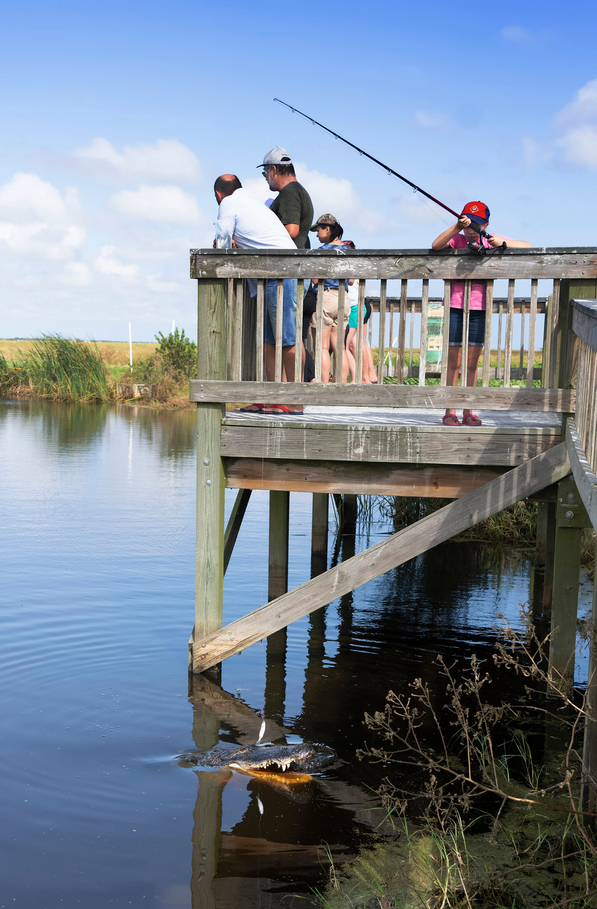 Brazos Bend State Park — Texas Parks and Wildlife. Photographer Irina Kozhemyakina. Houston