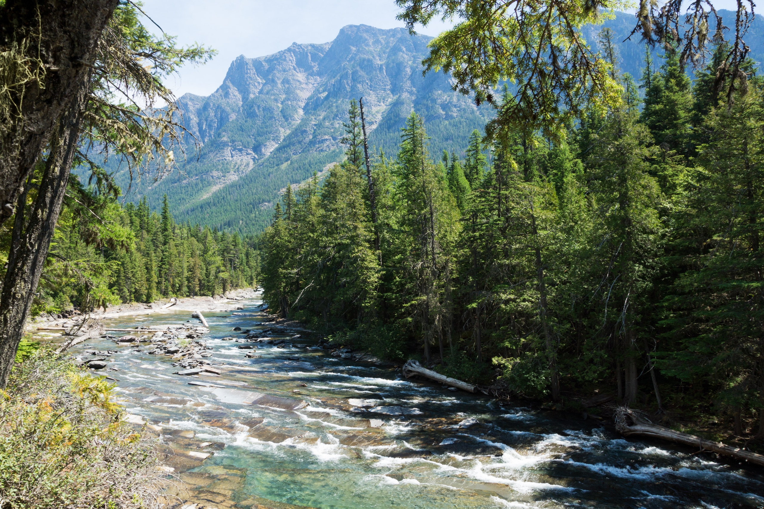 The landscapes. Photographer Irina Kozhemyakina. Houston