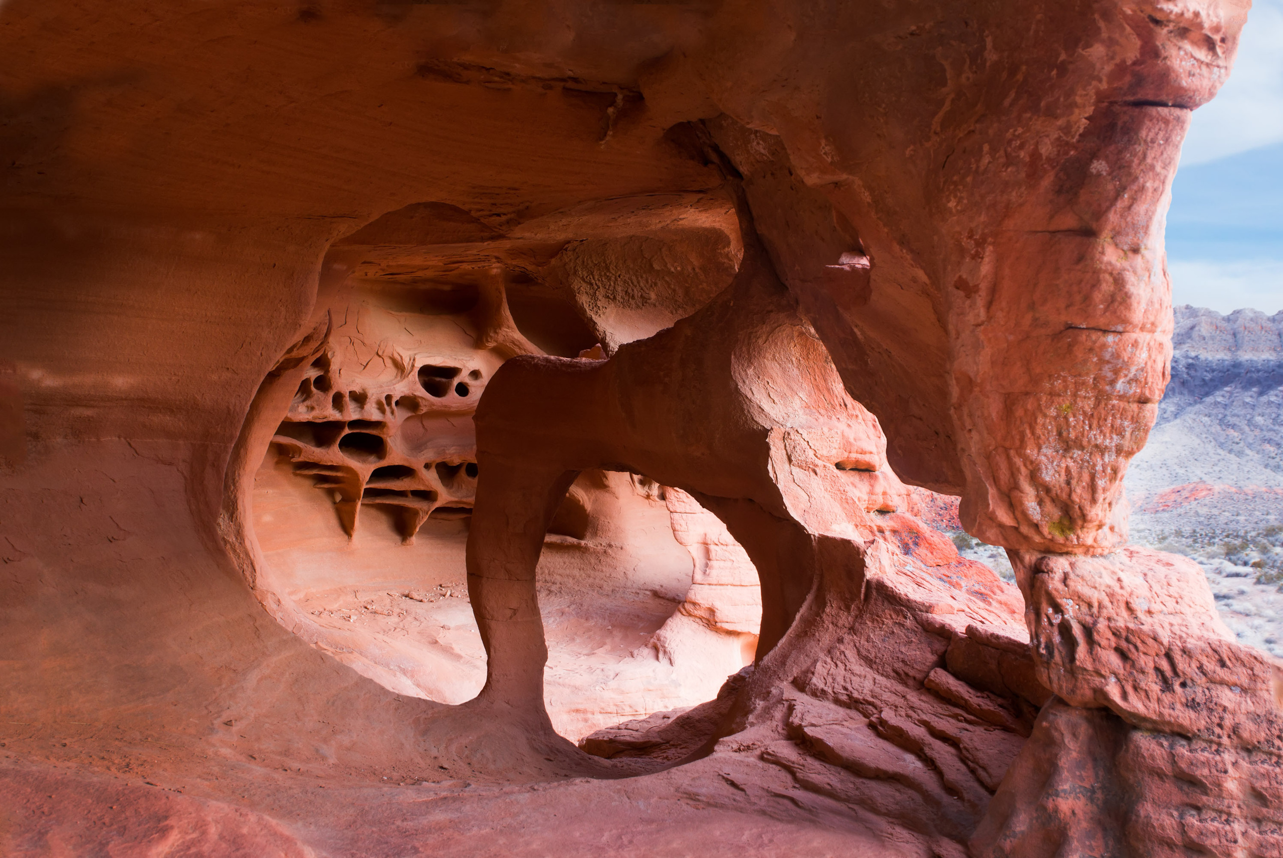 The landscapes. Photographer Irina Kozhemyakina. Houston