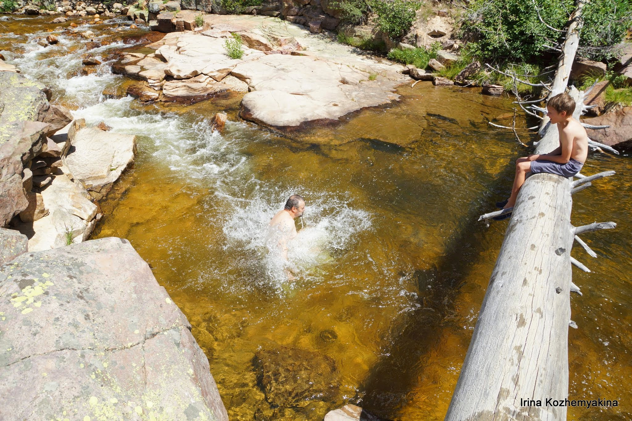2014-08-10, Mushrooms. Photographer Irina Kozhemyakina. Houston
