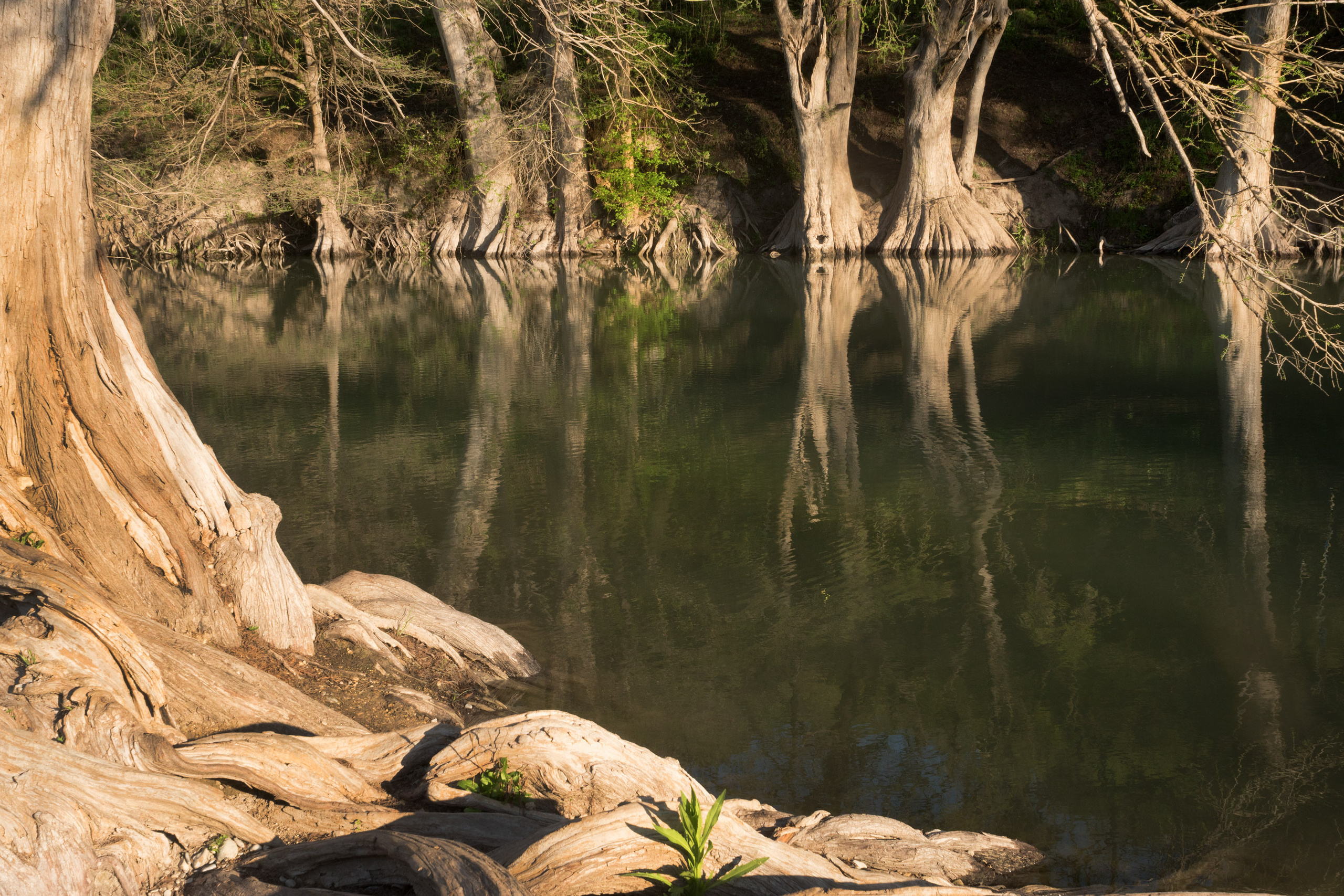 The landscapes. Photographer Irina Kozhemyakina. Houston